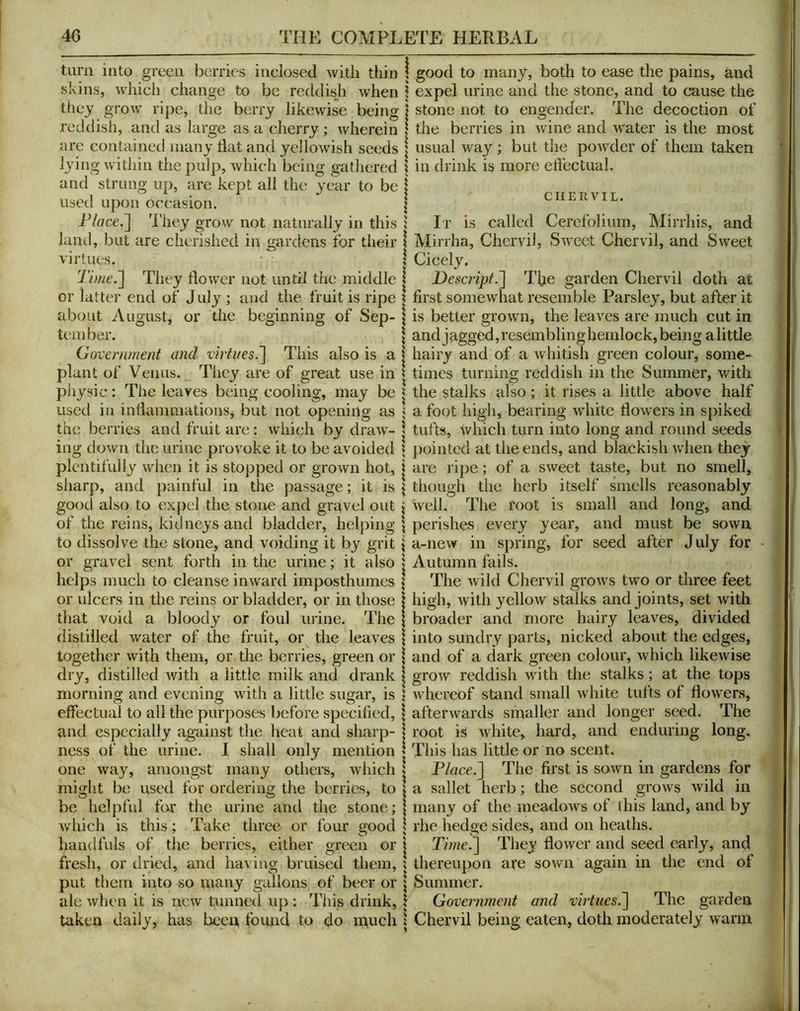 turn into green berries inclosed with thin \ good to many, both to ease the pains, and expel urine and the stone, and to cause the skins, which change to be reddish when they grow ripe, the berry likewise being- reddish, and as large as a cherry; wherein are contained many Hat and yellowish seeds lying within the pulp, which being gatliered and strung up, are kept all the year to be used upon occasion. P/uce.] d'iiey grow not naturally in this land, but are cherished in gardens for their virtues. They dowser not until the middle or latter end of July; and the fruit is ripe about August, or the beginning of Sep- tember. Government and virtues.^ This also is a plant of Venus. They are of great use in pliysic: Tlie leaves being cooling, may be used in intlainmations, but not opening as the berries and fruit are: which by draw-^- ing down the urine provoke it to be avoided plentifully when it is stopped or grown hot, sharp, and painful in the passage; it is good also to expel the stone and gravel out of the reins, kidneys and bladder, helping to dissolve the stone, and voiding it by grit or gravel sent forth in the urine; it also helps much to cleanse inward imposthumes or ulcers in the reins or bladder, or in those that void a bloody or foul mine. The distilled water of the fruit, or the leaves together with them, or the berries, green or dry, distilled with a little milk and drank morning and evening with a little sugar, is effectual to all the purposes before specified, and especially against the heat and sharp- ness of the urine. I shall only mention one way, amongst many others, which might be used for ordering the berries, to be helpfid for the urine and the stone; which is this; Take three or four good handfuls of the berries, either green or fresh, or dried, and having bruised them, put them into so niany gallons of beer or ale when it is new tunned up : This drink, taken daily, has been, found to do much \ stone not to engender. The decoction of i the berries in wine and water is the most : usual way; but the powder of them taken in drink is more etfectual. CHERVIL. It is called Cerefolium, Mirrhis, and Mirrha, Chervil, Sivect Chervil, and Sweet Cicely. Descript.~\ The garden Chervil doth at first somewdiat resemble Parsley, but after it is better grown, the leaves are much cut in and j agged, resembling hemlock, being a little hairy and of a whitish green colour, some- times turning reddish in the Summer, with the stalks also; it rises a little above half a foot higli, bearing white flowers in spiked tufts, which turn into long and round seeds pointed at the ends, and blackish when they are ripe; of a sweet taste, but no smell, though the herb itself smells reasonably well. The toot is small and long, and perishes every year, and must be sown a-new in spring, for seed after July for - Autumn fails. The wild Chervil grows two or three feet high, with yellow stalks and joints, set with broader and more hairy leaves, divided into sundry parts, nicked about the edges, and of a dark green colour, which likewise grow reddish with the stalks; at the tops whereof stand small white tufts of flowers, afterwards smaller and longer seed. The root is white, hard, and enduring long, } This has little or no scent. Tlace.] The first is sown in gardens for a sallet herb; the second grows wild in many of the meadows of I his land, and by rhe hedge sides, and on heaths. TimeJ] They flower and seed early, and thereupon are sown again in the end of Summer. Government and vir'tues.~\ The garden Chervil being eaten, doth moderately warm I