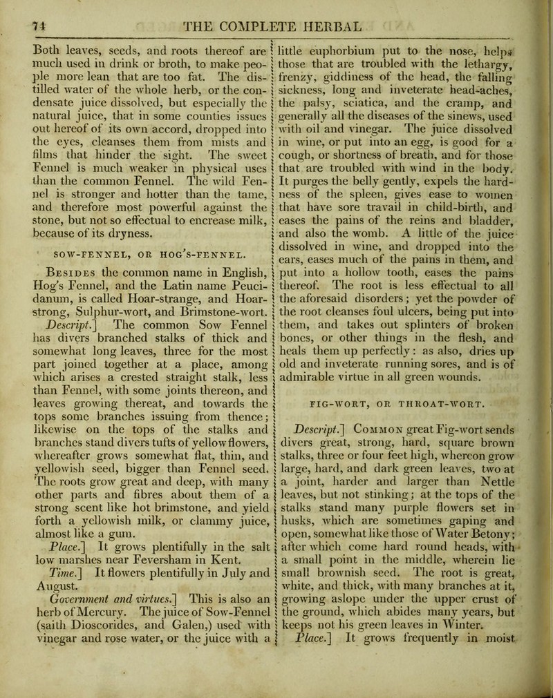 Both leaves, seeds, and roots thereof are \ little eiiphorbium put to the nose, help;>j much used in drink or broth, to make peo- \ those that are troubled with the lethargy, pie more lean that are too fat. The dis- : frenzy, giddiness of the head, the falling tilled water of the whole herb, or the con- | sickness, long and inveterate head-aches, densate juice dissolved, but especially the | the palsy, sciatica, and the cramp, and natural juice, that in some counties issues | generally all the diseases of the sinews, used out hereof of its own accord, dropped into \ with oil and vinegar. The juice dissolved the eyes, cleanses them from mists and \ in wine, or put into an egg, is good for a films that hinder tlie sight. The sweet | cough, or shortness of breath, and for those Eennel is much weaker in physical uses \ that are troubled with wind in the body, than the ~ ' - _ . _ common Eennel. The wild Fen- nel is stronger and hotter than the tame, and therefore most powerful against the stone, but not so effectual to encrease milk, because of its dryness. SOW-PENNEL, OR HOG^S-FENNEL. I It purges the belly gentl}% expels the hard- I ness of the spleen, gives ease to women I that have sore travail in child-birth, and ^ eases the pains of the reins and bladder, ■ and also the womb. A little of the juice dissolved in wine, and dropped into the ears, eases much of the pains in them, and put into a hollow tooth, eases the pains The root is less effectual to all admirable virtue in all green wounds. PIG-WORT, OR THllOAT-W’ORT. Descnpt.'] Common great Fig-wwt sends square Besides the common name in English Hog's Fennel, and the Latin name Peuci danum, is called Hoar-strange, and Hoar- I the aforesaid disorders; yet the poAvder of strong, Sulphur-Avort, and Brimstone-Avort. | the root cleanses foul ulcers, being put into Desci'ipf.^ The common Sow Fennel ; them, and takes out splinters of broken has divers branched stalks of thick and | bones, or other things in the flesh, and someAvhat long leaves, three for the most i heals them up perfectly; as also, dries up part joined together at a place, among i old and inveterate running sores, and is of which arises a crested straight stalk, less than Fennel, Avith some joints thereon, and leaves groAving thereat, and tOAvards the tops some branches issuing from thence; likeAvise on the tops of the stalks and branches stand db^ers tufts of yellow floAA^ers, I divers great, strong, hard, square broAvm Avhereaftcr groAv^s someAvhat fiat, thin, and \ stalks, three or four feet high, Avhereon groAV yelloAvish seed, bigger than Fennel seed. ? large, hard, and dark green leaves, tAvo at The roots groAv great and deep, Avith many \ a joint, harder and larger than Nettle Other parts and fibres about them of a \ leaves, but not stinking; at the tops of the strong scent like hot brimstone, and yield j stalks stand many purple floAvers set in \ husks, Avhich are sometimes gaping and \ open, somewhat like those of Water Betony; after Avhich come hard round heads, Avith i a small point in the middle, Avherein lie Ti?ne^\ It flowers plentifully in July nnd | small broAAmish seed. The root is great, August. \ Avhite, and thick, Avith many branches at it, Government and virtues^ This is also an | growing aslope under the upper crust of herb of Mercury. The juice of SoAV-Fennel | the ground, Avhich abides many years, but (saith Dioscorides, and Galen,) used Avith 1 keeps not his green leaves in Whiten vinegar and rose Avater, or the juice with a | Flace.'] It groAvs frequently in moist forth a yelloAvish milk, or clammy juice, almost like a gum. P/«ce.] It groAvs plentifully in the salt low marshes near Feversham in Kent.