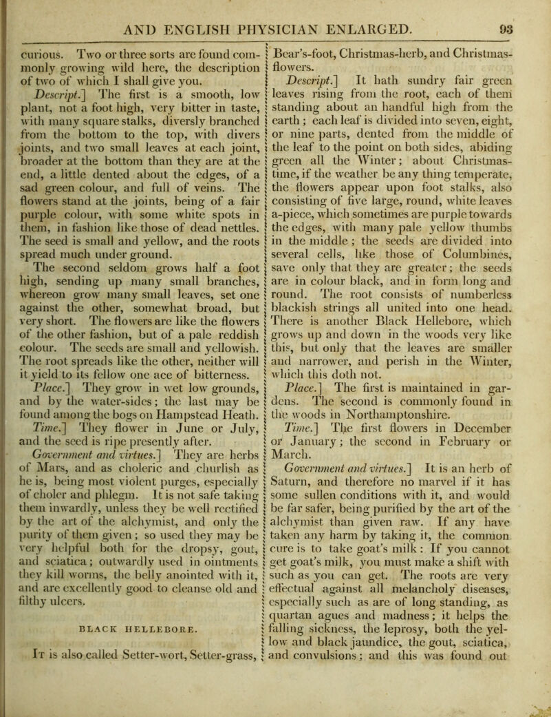 cui ious. Two or three sorts are found com- | Bear’s-foot, Christmas-herb, and Christmas- inonly growing wild here, the description | flowers. of two of which I shall give you. | Descript.'] It hath sundry fair green ' Descript.] The first is a smooth, low \ leaves rising from the root, each of them plant, not a foot high, very bitter in taste, 1 standing about an handful high from the ; with many square stalks, diversly branched \ earth ; each leaf is divided into seven, eight, i from the bottom to the top, with divers | or nine parts, dented from the middle of joints, and two small leaves at each joint, i the leaf to the point on both sides, abiding broader at the bottom than they are at the 1 green all the Winter; about Christmas- I end, a little dented about the edges, of a \ time, if the weather be any thing temperate, sad green colour, and full of veins. The j the flowers appear upon foot stalks, also flowers stand at the joints, being of a fair j consisting of five large, round, white leaves 1 purple colour, with some white spots in > a-piece, which sometimes are purple towards them, in fashion like those of dead nettles. \ the edges, with many pale yellow thumbs The seed is small and yellow, and the roots \ in the middle ; the seeds are divided into I spread much under ground. | several cells, like those of Columbines, j The second seldom grows half a foot \ save only that they are greater; the seeds I high, sending up many small branches, 1 are in colour black, and in form long and ji whereon grow many small leaves, set one * round. The root consists of numberless against the other, somewhat broad, but | blackish strings all united into one head, very short. The flowers are like the flowers v There is another Black Hellebore, which of the other fashion, but of a pale reddish > grows up and down in the woods very like I colour. The seeds are small and yellowish. | this, but only that the leaves are smaller j The root spreads like the other, neither will \ and narrower, and perish in the Winter, it yield to its fellow one ace of bitterness. \ which this doth not. Place.] They grow in wet low grounds, \ Place.] The first is maintained in gar- |l and by the water-sides; the last may be ! dens. The second is commonly found in j found among the bogs on Hampstead Heath. | the woods in Northamptonshire. ; Tifve.] They flower in June or July, J Tiwe.] The first flowers in December ! and the seed is ripe presently after. \ or January ; the second in February or j Government and virtues.] They are herbs \ March. I of Mars, and as choleric and churlish as | Govenunent and viiiues.] It is an herb of he is, being most violent purges, especially 1 Saturn, and therefore no marvel if it has of cholcr and phlegm. It is not safe taking \ some sullen conditions with it, and would I them inwardly, unless they be well rectified \ be far safer, being purified by the art of the I by the art of the alchymist, and only the \ alclij-mist than given raw. If any have j purity of them given ; so used they may be 1 taken any harm by taking it, the common j very helpful both for the dropsy, gout, 1 cure is to take goat’s milk: If you cannot I and sciatica; outwardly used in ointments i get goat’s milk, you must make a shift with ; they kill worms, the bell}'^ anointed with it, 1 such as you can get. The roots are very j and are excellently good to cleanse old and : effectual against all melancholy diseases, i filthy ulcers. 1 especially such as are of long standing, as 1, 1 quartan agues and madness ; it helps the j BLACK HELLEBOE.E. 1 falling sickiiess, the leprosy, both the yel- \ low and black jaundice, the gout, sciatica, i It is also called Setter-Avort, Setter-grass, ; and convulsions; and this Avas found out
