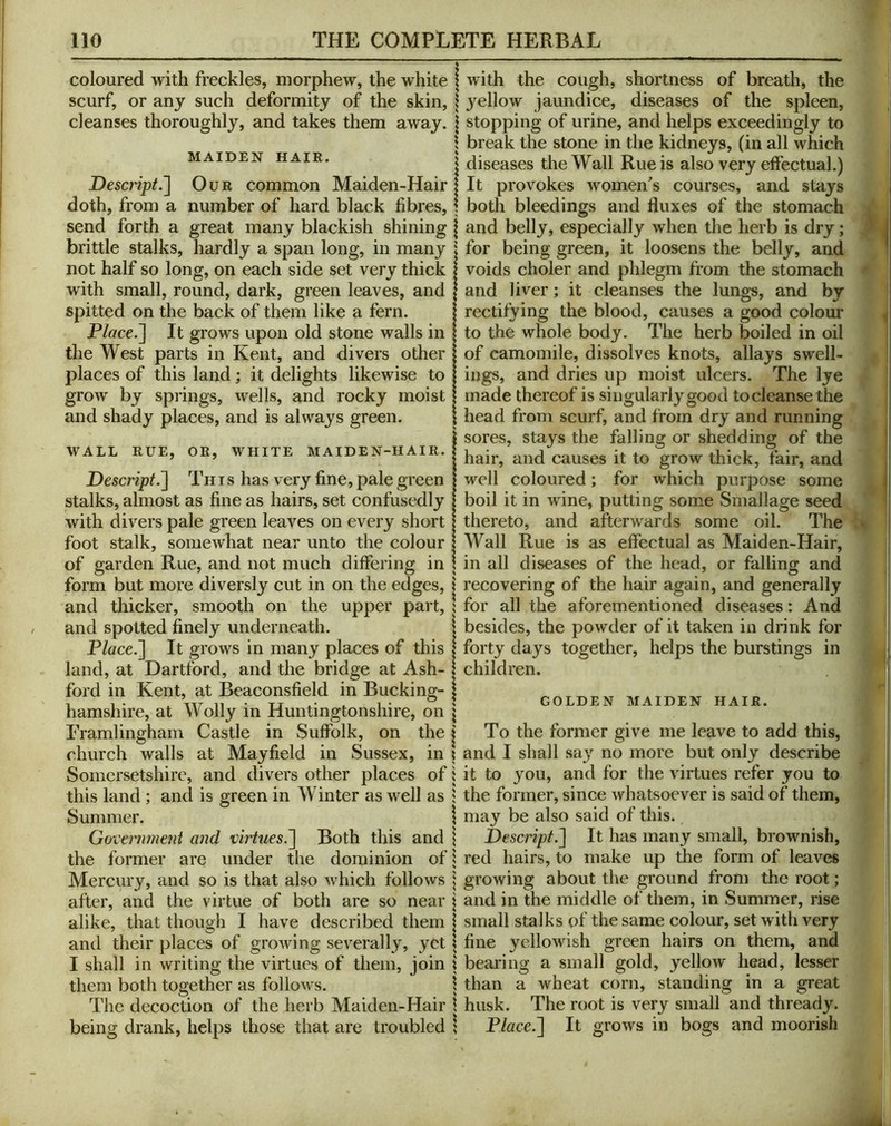 coloured with freckles, morphew, the white scurf, or any such deformity of the skin, cleanses thoroughly, and takes them away. MAIDEN HAIR. Descl'ipt.'] Our common Maiden-Hair doth, from a number of hard black fibres, send forth a great many blackish shining brittle stalks, hardly a span long, in many not half so long, on each side set very thick with small, round, dark, green leaves, and spitted on the back of them like a fern. Place.~\ It grows upon old stone walls in the West parts in Kent, and divers other places of this land; it delights likewise to grow by springs, wells, and rocky moist and shady places, and is always green. WALL RUE, OR, WHITE MAIDEN-HAIR. Desc?’ipt.^ Th I s has very fine, pale green stalks, almost as fine as hairs, set confusedly with divers pale green leaves on every short foot stalk, somewhat near unto the colour of garden Rue, and not much differing in form but more diversly cut in on the edges, and thicker, smooth on the upper part, and spotted finely underneath. P/ace.] It grows in many places of this land, at Hartford, and the bridge at Ash- ford in Kent, at Beaconsfield in Bucking- hamshire, at Wolly in Huntington shire, on Framlingham Castle in Suffolk, on the church walls at Mayfield in Sussex, in Somersetshire, and divers other places of this land ; and is green in Winter as well as Summer. Government and virtues.^ Both this and the former are under the dominion of Mercury, and so is that also which follows after, and the virtue of both are so near with the cough, shortness of breath, the yellow jaundice, diseases of the spleen, stopping of urine, and helps exceedingly to break the stone in the kidneys, (in all which diseases the Wall Rue is also very effectual.) It provokes womeffs courses, and stays both bleedings and fluxes of the stomach and belly, especially when the herb is dry; for being green, it loosens the belly, and voids choler and phlegm from the stomach and liver; it cleanses the lung's, and by rectifying the blood, causes a good colour to the whole body. The herb boiled in oil of camomile, dissolves knots, allays swell- ings, and dries up moist ulcers. The lye made thereof is singularly good to cleanse the head from scurf, and from dry and running sores, stays the falling or shedding of the hair, and causes it to grow thick, fair, and well coloured; for which purpose some boil it in wine, putting some Smallage seed thereto, and afterw'ards some oil. The Wall Rue is as effectual as Maiden-Hair, in all diseases of the head, or falling and recovering of the hair again, and generally for all the aforementioned diseases: And besides, the powder of it taken in drink for forty days together, helps the burstings in children. GOLDEN MAIDEN HAIR. alike, that though I have described them and their places of growing severally, yet I shall in writing the virtues of them, join them both together as follows. The decoction of the herb Maiden-Hair being drank, helps those that are troubled To the former give me leave to add this, and I shall sa} no more but only describe it to you, and for the virtues refer you to the former, since whatsoever is said of them, may be also said of this. JbescriptJ] It has many small, brownish, red hairs, to make up the form of leaves growing about the ground from the root; and in the middle of them, in Summer, rise small stalks of the same colour, set with very fine yellowish green hairs on them, and bearing a small gold, yellow head, lesser than a wheat corn, standing in a great husk. The root is very small and thready. 'I Place.~\ It grows in bogs and moorish