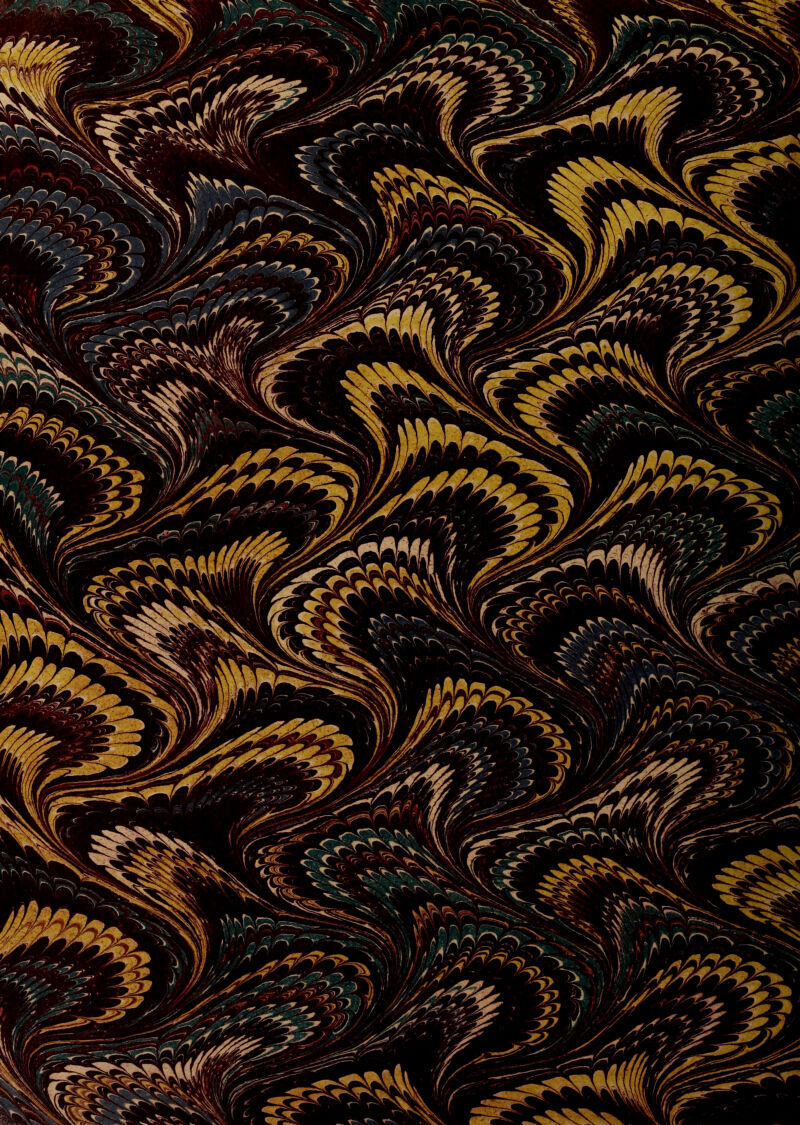 No text description is available for this image