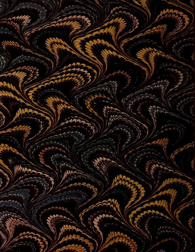 No text description is available for this image