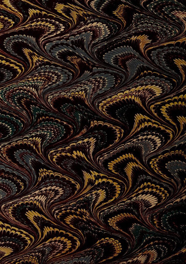 No text description is available for this image