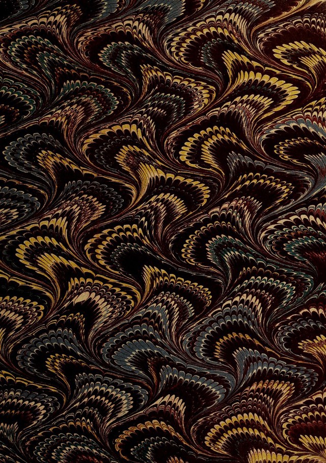 No text description is available for this image