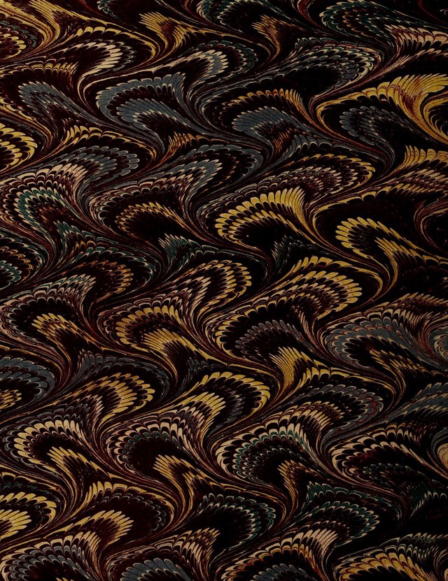 No text description is available for this image