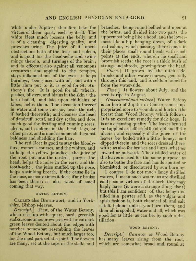 white under Jupiter ; therefore take the virtues of them apart, each by itself. The white Beet much loosens the belly, and is of a cleansing, digesting quality, and provokes urine. The juice of it opens obstructions both of the liver and spleen, and is good for the heacl-ache and swim- mings therein, and turnings of the brain ; and is effectual also against all venomous creatures; and applied to the temples, stays inflammations of the eyes; it helps burnings, being used with oil, and with a little alum put to it, is good for St. An- thony’s fire. It is good for all wheals, pushes, blisters, and blains in the skin : the herb boiled, and laid upon chilblains or kibes, helps them. The decoction thereof in water and some vinegar, heals the itch, if bathed therewith; and cleanses the head of dandruff, scurf, and dry scabs, and does much good for fretting and running sores, ulcers, and cankers in the head, legs, or other parts, and is much commended against baldness and shedding the hair. The red Beet is good to stay the bloody- flux, women’s courses, and the whites, and to help the yellow jaundice ; the juice of the root put into the nostrils, purges the head, helps the noise in the ears, and the tooth-ache ; the juice snuffed up the nose, helps a stinking breath, if the cause lie in the nose, as many times it does, if any bruise has been there: as also want of smell coming that way. WATER BETONY. Called also Brown-wort, and in York- shire, Bishop’s-leaves. Descript.] First, of the Water Betony, which rises up with square, hard, greenish stalks, sometimes brown, set with broad dark green leaves dented about the edges with notches somewhat resembling the leaves of the Wood Betony, but much larger too, for the most part set at a joint. The flowers are many, set at the tops of the stalks and branches, being round bellied and open at the brims, and divided into two parls, the uppermost being like a hood, and the lower- most like a hip hanging down, of a dark red colour, which passing, there comes in their places small round heads with small points at the ends, wherein lie small and brownish seeds ; the root is a thick bush of strings and shreds, growing from the head. Placed It grows by the ditch side, brooks and other water-courses, generally through this land, and is seldom found far from the water-side. Time.] It flowers about July, and the seed is ripe in August. Government and virtues\ Water Betony is an herb of Jupiter in Cancer, and is ap- propriated more to wounds and hurts in the breast than Wood Betony, which follows : It is an excellent remedy for sick hogs. It is of a cleansing quality. The leaves bruised and applied are effectual for all old and filthy ulcers ; and especially if the juice of the leaves be boiled with a little honey, and dipped therein, and the sores dressed there- with ; as also for bruises and hurts, whether inward or outward. The distilled water of the leaves is used for the same purpose ; as also to bathe the face and hands spotted or blemished, or discoloured by sun burning. I confess I do not much fancy distilled waters, I mean such waters as are distilled cold ; some virtues of the herb they may haply have (it were a strange thing else;) but this I am confident of, that being dis- tilled in a pewter still, as the vulgar and apish fashion is, both chemical oil and salt is left behind unless you burn them, and then all is spoiled, water and all, which was good for as little as can be, by such a dis- tillation. WOOD BETONY. Descript.] Common or Wood Betony has many leaves rising from the root, which are somewhat broad and round at