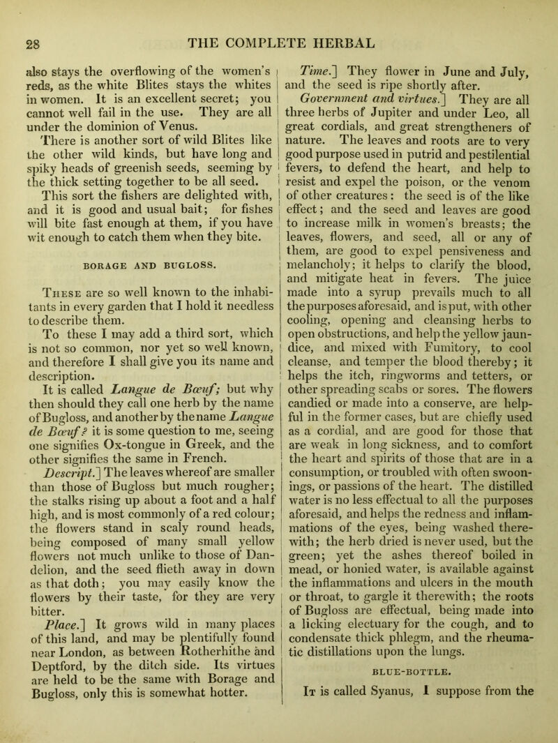 also stays the overflowing of the women’s reds, as the white Blites stays the whites in women. It is an excellent secret; you I cannot well fail in the use. They are all under the dominion of Venus. There is another sort of wild Blites like I the other wild kinds, but have long and i spiky heads of greenish seeds, seeming by j the thick setting together to be all seed. This sort the fishers are delighted with, ! and it is good and usual bait; for fishes will bite fast enough at them, if you have wit enough to catch them when they bite. BORAGE AND BITGLOSS. These are so well known to the inhabi- tants in every garden that I hold it needless to describe them. To these I may add a third sort, which is not so common, nor yet so well known, and therefore I shall give you its name and description. It is called Langue de Bceuf ; but why then should they call one herb by the name of Bugloss, and another by the name Langue de Bceuf? it is some question to me, seeing one signifies Ox-tongue in Greek, and the other signifies the same in French. Descript, j The leaves whereof are smaller than those of Bugloss but much rougher; the stalks rising up about a foot and a half high, and is most commonly of a red colour; the flowers stand in scaly round heads, being composed of many small yellow flowers not much unlike to those of Dan- delion, and the seed flieth away in down as that doth; you may easily know the flowers by their taste, for they are very bitter. Placed] It grows wild in many places of this land, and may be plentifully found near London, as between Rotherhithe and Deptford, by the ditch side. Its virtues are held to be the same with Borage and Bugloss, only this is somewhat hotter. Time.~\ They flower in June and July, and the seed is ripe shortly after. Government and virtues.] They are all three herbs of Jupiter and under Leo, all great cordials, and great strengthened of nature. The leaves and roots are to very good purpose used in putrid and pestilential fevers, to defend the heart, and help to resist and expel the poison, or the venom of other creatures : the seed is of the like effect; and the seed and leaves are good to increase milk in women’s breasts; the leaves, flowers, and seed, all or any of them, are good to expel pensiveness and melancholy; it helps to clarify the blood, and mitigate heat in fevers. The juice made into a syrup prevails much to all the purposes aforesaid, and is put, with other cooling, opening and cleansing herbs to open obstructions, and help the yellow jaun- dice, and mixed with Fumitory, to cool cleanse, and temper the blood thereby; it helps the itch, ringworms and tetters, or other spreading scabs or sores. The flowers candied or made into a conserve, are help- ful in the former cases, but are chiefly used as a cordial, and are good for those that are weak in long sickness, and to comfort the heart and spirits of those that are in a consumption, or troubled with often swoon- ings, or passions of the heart. The distilled water is no less effectual to all the purposes aforesaid, and helps the redness and inflam- mations of the eyes, being washed there- with; the herb dried is never used, but the green; yet the ashes thereof boiled in mead, or honied water, is available against the inflammations and ulcers in the mouth or throat, to gargle it therewith; the roots of Bugloss are effectual, being made into a licking electuary for the cough, and to condensate thick phlegm, and the rheuma- tic distillations upon the lungs. BLUE-BOTTLE. It is called Syanus, I suppose from the