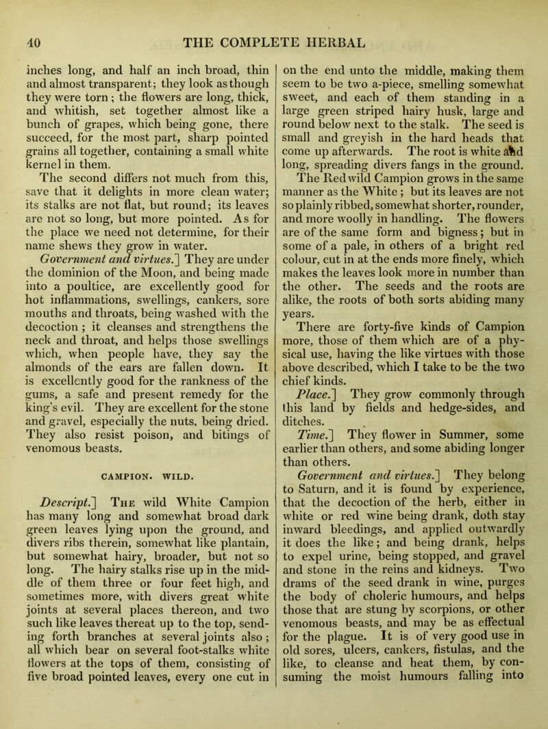 inches long, and half an inch broad, thin and almost transparent; they look as though they were torn ; the flowers are long, thick, and whitish, set together almost like a bunch of grapes, which being gone, there succeed, for the most part, sharp pointed grains all together, containing a small white kernel in them. The second differs not much from this, save that it delights in more clean water; its stalks are not flat, but round; its leaves are not so long, but more pointed. As for the place we need not determine, for their name shews they grow in water. Government and virtues.] They are under the dominion of the Moon, and being made into a poultice, are excellently good for hot inflammations, swellings, cankers, sore mouths and throats, being washed with the decoction ; it cleanses and strengthens the neck and throat, and helps those swellings which, when people have, they say the almonds of the ears are fallen down. It is excellently good for the rankness of the gums, a safe and present remedy for the king’s evil. They are excellent for the stone and gravel, especially the nuts, being dried. They also resist poison, and bitings of venomous beasts. CAMPION. WILD. Descript.^\ The wild White Campion has many long and somewhat broad dark green leaves lying upon the ground, and divers ribs therein, somewhat like plantain, but somewhat hairy, broader, but not so long. The hairy stalks rise up in the mid- dle of them three or four feet high, and sometimes more, with divers great white joints at several places thereon, and two such like leaves thereat up to the top, send- ing forth branches at several joints also ; all which bear on several foot-stalks white flowers at the tops of them, consisting of five broad pointed leaves, every one cut in on the end unto the middle, making them seem to be two a-piece, smelling somewhat sweet, and each of them standing in a large green striped hairy husk, large and round below next to the stalk. The seed is small and greyish in the hard heads that come up afterwards. The root is white slid long, spreading divers fangs in the ground. The Red wild Campion grows in the same manner as the White ; but its leaves are not so plainly ribbed, somewhat shorter, rounder, and more woolly in handling. The flowers are of the same form and bigness ; but in some of a pale, in others of a bright red colour, cut in at the ends more finely, which makes the leaves look more in number than the other. The seeds and the roots are alike, the roots of both sorts abiding many years. There are forty-five kinds of Campion more, those of them which are of a phy- sical use, having the like virtues with those above described, which I take to be the two chief kinds. Placed] They grow commonly through this land by fields and hedge-sides, and ditches. Time. ] They flower in Summer, some earlier than others, and some abiding longer than others. Government and virtues.] They belong to Saturn, and it is found by experience, that the decoction of the herb, either in white or red wine being drank, doth stay inward bleedings, and applied outwardly it does the like; and being drank, helps to expel urine, being stopped, and gravel and stone in the reins and kidneys. Two drams of the seed drank in wine, purges the body of choleric humours, and helps those that are stung by scorpions, or other venomous beasts, and may be as effectual for the plague. It is of very good use in old sores, ulcers, cankers, fistulas, and the like, to cleanse and heat them, by con- suming the moist humours falling into