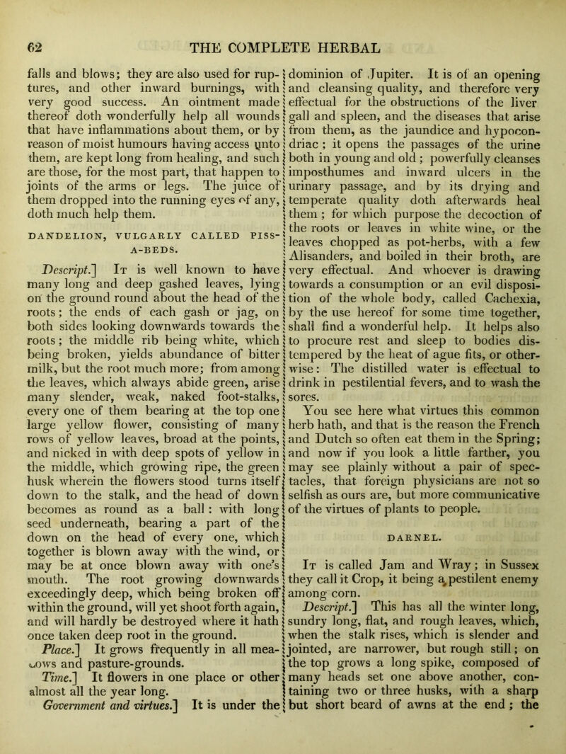 falls and blows; they are also used for rup- \ tures, and other inward burnings, with \ very good success. An ointment made! thereof doth wonderfully help all wounds | that have inflammations about them, or by \ reason of moist humours having access ynto ; them, are kept long from healing, and such j are those, for the most part, that happen to j joints of the arms or legs. The juice oft them dropped into the running eyes of any, > doth much help them. j DANDELION, VULGARLY CALLED PISS-* A-BEDS. 5 Descript.~\ It is well known to have j many long and deep gashed leaves, lying \ on the ground round about the head of the \ roots; the ends of each gash or jag, on j both sides looking downwards towards the 5 roots; the middle rib being white, which \ being broken, yields abundance of bitter j milk, but the root much more; from among \ the leaves, which always abide green, arise j many slender, weak, naked foot-stalks, 5 every one of them bearing at the top one j large yellow flower, consisting of many \ rows of yellow leaves, broad at the points, j and nicked in with deep spots of yellow in \ the middle, which growing ripe, the green 1 husk wherein the flowers stood turns itself down to the stalk, and the head of down becomes as round as a ball : with long seed underneath, bearing a part of the j down on the head of every one, which l together is blown away with the wind, or! may be at once blown away with one’s j mouth. The root growing downwards \ exceedingly deep, which being broken off! within the ground, will yet shoot forth again, j and will hardly be destroyed where it hath * once taken deep root in the ground. \ Place.] It grows frequently in all mea- \ <uOws and pasture-grounds. j Time.] It flowers in one place or other j almost all the year long. ' Government and virtues.] It is under the \ dominion of Jupiter. It is of an opening and cleansing quality, and therefore very effectual for the obstructions of the liver gall and spleen, and the diseases that arise from them, as the jaundice and hypocon- driac ; it opens the passages of the urine both in young and old ; powerfully cleanses imposthumes and inward ulcers in the urinary passage, and by its drying and temperate quality doth afterwards heal them ; for which purpose the decoction of the roots or leaves in white wine, or the leaves chopped as pot-herbs, with a few Alisanders, and boiled in their broth, are very effectual. And whoever is drawing towards a consumption or an evil disposi- tion of the whole body, called Cachexia, by the use hereof for some time together, shall find a wonderful help. It helps also to procure rest and sleep to bodies dis- tempered by the heat of ague fits, or other- wise : The distilled water is effectual to drink in pestilential fevers, and to wash the sores. You see here what virtues this common herb hath, and that is the reason the French and Dutch so often eat them in the Spring; and now if you look a little farther, you may see plainly without a pair of spec- tacles, that foreign physicians are not so selfish as ours are, but more communicative of the virtues of plants to people. DARNEL. It is called Jam and Wray; in Sussex they call it Crop, it being a#pestilent enemy among corn. Descript.] This has all the winter long, sundry long, flat, and rough leaves, which, when the stalk rises, which is slender and jointed, are narrower, but rough still; on the top grows a long spike, composed of many heads set one above another, con- taining two or three husks, with a sharp but short beard of awns at the end ; the