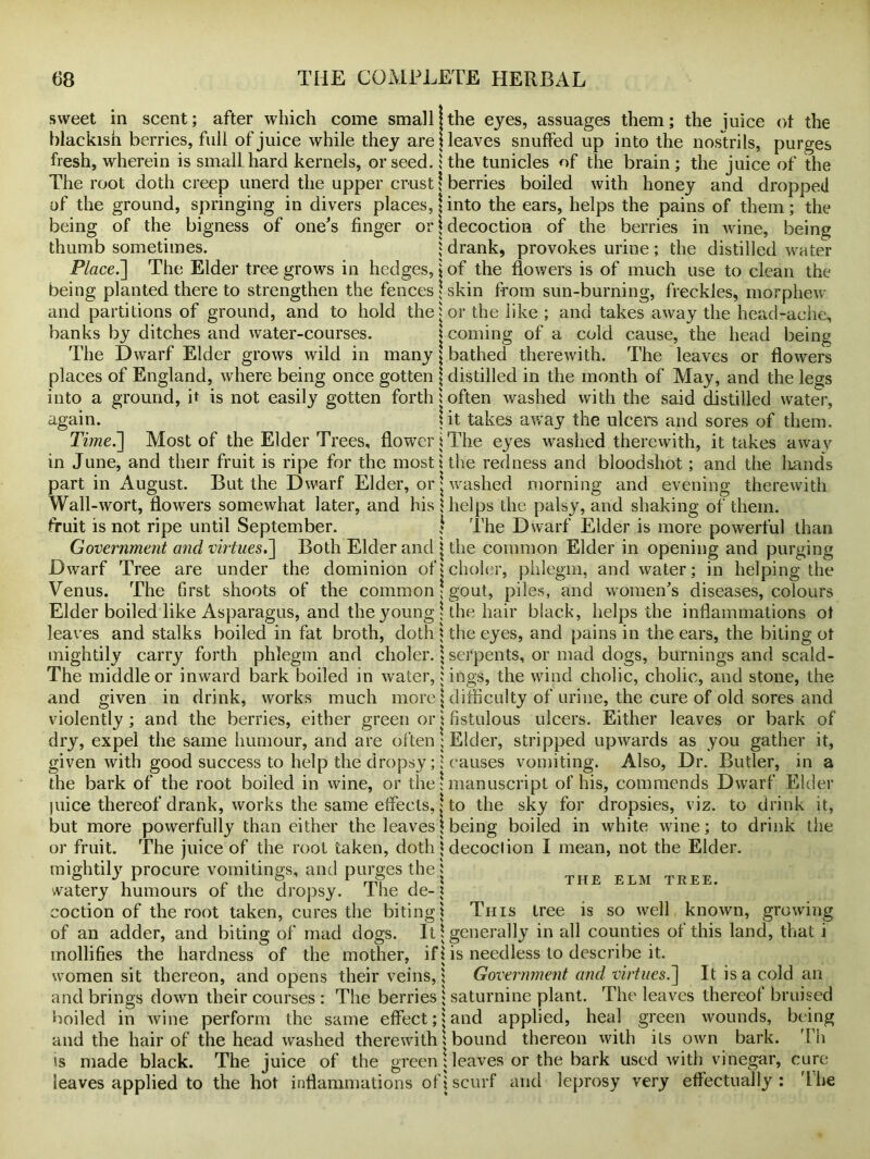 sweet in scent; after which come small!the eyes, assuages them; the juice ol the blackish berries, full of juice while they are I leaves snuffed up into the nostrils, purges fresh, wherein is small hard kernels, or seed. 1 the tunicles of the brain ; the juice of the The root doth creep unerd the upper crust * berries boiled with honey and dropped of the ground, springing in divers places, | into the ears, helps the pains of them; the being of the bigness of one's finger or j decoction of the berries in wine, being thumb sometimes. j drank, provokes urine ; the distilled water Place.] The Elder tree grows in hedges, j of the flowers is of much use to clean the being planted there to strengthen the fences ; skin from sun-burning, freckles, morphew and partitions of ground, and to hold the j or the like ; and takes away the head-ache, banks by ditches and water-courses. j coming of a cold cause, the head being The Dwarf Elder grows wild in many \ bathed therewith. The leaves or flowers places of England, where being once gotten \ distilled in the month of May, and the legs into a ground, it is not easily gotten forth 1 often washed with the said distilled water, again. jit takes away the ulcers and sores of them. Time.] Most of the Elder Trees, flower!The eyes washed therewith, it takes away in June, and their fruit is ripe for the most! the redness and bloodshot; and the hands part in August. But the Dwarf Elder, or \ washed morning and evening therewith Wall-wort, flowers somewhat later, and his Uielps the palsy, and shaking of them, fruit is not ripe until September. } The Dwarf Elder is more powerful than Government and virtues.] Both Elder and | the common Elder in opening and purging Dwarf Tree are under the dominion ofjcholer, phlegm, and water; in helping the Venus. The first shoots of the common; gout, piles, and women’s diseases, colours Elder boiled like Asparagus, and the young | the hair black, helps the inflammations ot leaves and stalks boiled in fat broth, doth j the eyes, and pains in the ears, the biting ot mightily carry forth phlegm and choler. \ serpents, or mad dogs, burnings and scald- The middle or inward bark boiled in water, j ings, the wind cholic, cholic, and stone, the and given in drink, works much more \ difficulty of urine, the cure of old sores and violently ; and the berries, either green or \ fistulous ulcers. Either leaves or bark of dry, expel the same humour, and are often; Elder, stripped upwards as you gather it, given with good success to help the dropsy;; causes vomiting. Also, Dr. Butler, in a the bark of the root boiled in wine, or the! manuscript of his, commends Dwarf Elder |uice thereof drank, works the same effects, \ to the sky for dropsies, viz. to drink it, but more powerfully than either the leaves! being boiled in white wine; to drink tiie \ decoction I mean, not the Elder. v s . P 1 1 mi i i the elm tree. watery humours of the dropsy, lhe de- ? coction of the root taken, cures the biting! This tree is so well known, growing of an adder, and biting of mad dogs. Itj generally in all counties of this land, that i mollifies the hardness of the mother, if j is needless to describe it. women sit thereon, and opens their veins, j Government and virtues.] It is a cold an and brings down their courses : The berries ; saturnine plant. The leaves thereof bruised boiled in wine perform the same effect;!and applied, heal green wounds, being and the hair of the head washed therewithi bound thereon with its own bark. Th is made black. The juice of the green : leaves or the bark used with vinegar, cure leaves applied to the hot inflammations of j scurf and leprosy very effectually: The or fruit. The juice of the root taken, doth mightily procure vomitings, and purges the