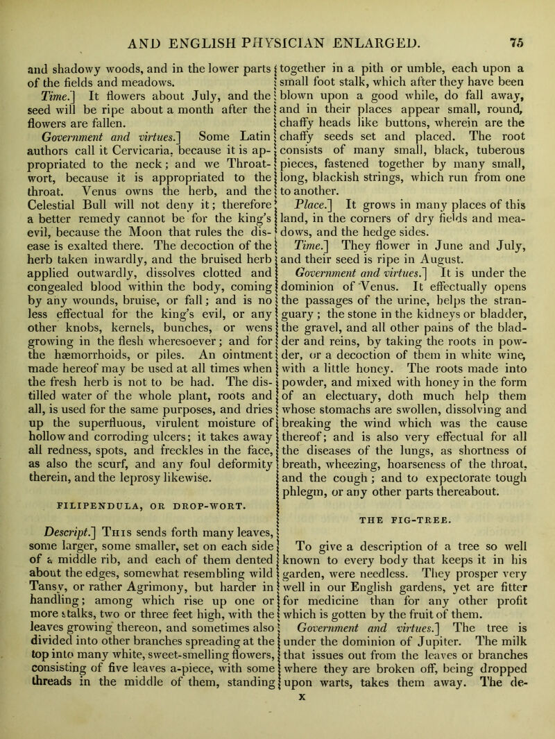 and shadowy woods, and in the lower parts j of the fields and meadows. : Time.] It flowers about July, and the: seed will be ripe about a month after the \ flowers are fallen. \ Government and virtues.] Some Latin j authors call it Cervicaria. because it is ap- j propriated to the neck; and we Throat-» wort, because it is appropriated to the j throat. Venus owns the herb, and the! Celestial Bull will not deny it; therefore * a better remedy cannot be for the king's j evil, because the Moon that rules the dis- ? ease is exalted there. The decoction of the j herb taken inwardly, and the bruised herb j applied outwardly, dissolves clotted and | congealed blood within the body, coming | by any wounds, bruise, or fall; and is no less effectual for the king's evil, or any other knobs, kernels, bunches, or wens growing in the flesh wheresoever; and for the haemorrhoids, or piles. An ointment: made hereof may be used at all times when i the fresh herb is not to be had. The dis- tilled water of the whole plant, roots and, all, is used for the same purposes, and dries up the superfluous, virulent moisture of hollow and corroding ulcers; it takes away all redness, spots, and freckles in the face, as also the scurf, and any foul deformity ! therein, and the leprosy likewise. together in a pith or umble, each upon a small foot stalk, which after they have been blown upon a good while, do fall away, and in their places appear small, round, chaffy heads like buttons, wherein are the chaffy seeds set and placed. The root consists of many small, black, tuberous pieces, fastened together by many small, long, blackish strings, which run from one to another. Place.] It grows in many places of this land, in the corners of dry fields and mea- dows, and the hedge sides. Time.'] They flower in June and July, and their seed is ripe in August. Government and virtues.] It is under the dominion of Venus. It effectually opens the passages of the urine, helps the stran- guary ; the stone in the kidneys or bladder, the gravel, and all other pains of the blad- der and reins, by taking the roots in pow- der, or a decoction of them in white wine; with a little honey. The roots made into powder, and mixed with honey in the form of an electuary, doth much help them whose stomachs are swollen, dissolving and breaking the wind which was the cause ; thereof; and is also very effectual for all the diseases of the lungs, as shortness of breath, wheezing, hoarseness of the throat, and the cough; and to expectorate tough j phlegm, or any other parts thereabout. FILIPENDULA, OR DROP-WORT. Descript.] This sends forth many leaves, j some larger, some smaller, set on each side of a middle rib, and each of them dented about the edges, somewhat resembling wild Tansy, or rather Agrimony, but harder in handling; among which rise up one or more stalks, two or three feet high, with the leaves growing thereon, and sometimes also divided into other branches spreading at the top into many white, sweet-smelling flowers, consisting of five leaves a-piece, with some threads in the middle of them, standing THE FIG-TREE. To give a description of a tree so well known to every body that keeps it in his garden, were needless. They prosper very well in our English gardens, yet are fitter for medicine than for any other profit \ which is gotten by the fruit of them. Government and virtues.] The tree is under the dominion of Jupiter. The milk that issues out from the leaves or branches where they are broken off, being dropped upon warts, takes them away. The de- x