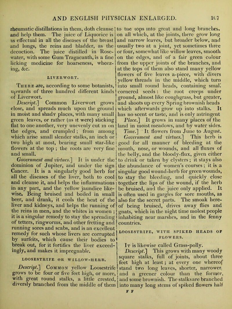 LIVERWORT. rheumatic distillations in them, doth cleanse ; to tue tops into great and long branches, and help them. The juice of Liquorice is! on all which, at the joints, there grow long as effectual in all the diseases of the breast land narrow leaves, but broader below, and and lungs, the reinsand bladder, as the | usually two at a joint, yet sometimes three decoction. The juice distilled in Rose- \ or four, somewhat like willow leaves, smooth water, with some Gum Tragacanth, is a fine : on the edges, and of a fair green colour licking medicine for hoarseness, wheez-5 from the upper joints of the branches, and ing, &c. j at the tops of them also stand many yellow |flowers of five leaves a-piece, with divers ; yellow threads in the middle, which turn There are, according to some botanists, I into small round heads, containing small upwards of three hundred different kinds \ cornered seeds: the root creeps under of Liverwort. I ground, almost like coughgrass, but greater, Descript.] Common Liverwort grows \ and shoots up every Spring brownish heads close, and spreads much upon the ground j which afterwards grow up into stalks. It in moist and shady places, with many small j has no scent or taste, and is only astringent green leaves, or rather (as it were) sticking [ Placed] It grows in many places of the flat to one another, very unevenly cut in on * land in moist meadows, and by water sides, the edges, and crumpled; from among j Time.~\ It flowers from June to August, which arise small slender stalks, an inch or* Government and virtues.] This herb is two high at most, bearing small star-like»good for all manner of bleeding at the flowers at the top ; the roots are very fine; mouth, nose, or wounds, and all duxes of and small. i the belly, and the bloody-dux, given either Government and virtues.] It is under the * to drink or taken by clysters; it stays also dominion of Jupiter, and under the sign \ the abundance of women’s courses ; it is a Cancer. It is a singularly good herb for j singular good wound-herb for green wounds, all the diseases of the liver, both to cool j to stay the bleeding, and quickly close and cleanse it, and helps the indammations \ together the lips of the wound, if the herb in any part, and the yellow jaundice like-! be bruised, and the juice only applied. It wise. Being bruised and boiled in small | is often used in gargles for sore mouths, as beer, and drank, it cools the heat of the j also for the secret parts. The smoak here- liver and kidneys, and helps the running of \ of being bruised, drives away dies and the reins in men, and the whites in women ; j gnats, which in the night time molest people it is a singular remedy to stay the spreading \ inhabiting near marshes, and in the fenny of tetters, ringworms, and other fretting and \ countries, running sores and scabs, and is an excellent; remedy for such whose livers are corrupted! LOOSESTRIEE’ by surfeits, which cause their bodies to* WITH SPIKED FLO WERS. HEADS OF break out, for it fortifies the liver ingly, and makes it impregnable. exceed- 'x It is likewise called Grass-polly. j Dcscript.'] This grows with many woody ; square stalks, full of joints, about three jfeet high at least; at every one whereof Descript.] Common yellow Loosestrife \ stand two long leaves, shorter, narrower, grows to be four or five feet high, or more,: and a greener colour than the former, with great round stalks, a little crested, 5 and some brownish. The stalksare branched diversly branched from the middle of them jinto many long stems of spiked flowers half F F LOOSESTRIFE OR WILLOW-HERB.