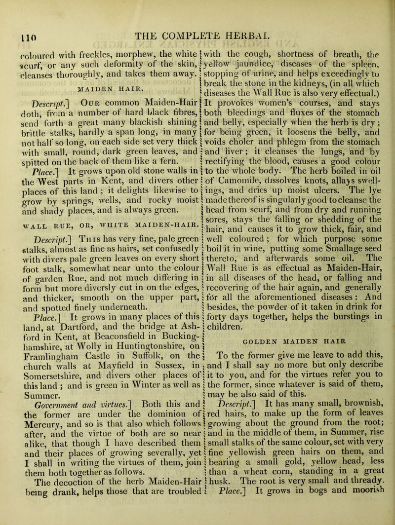 D escr?pti] doth, from a send forth a coloured with freckles, morphew, the white \ with the cough, shortness of breath, the scurf, or any such deformity of the skin, ? yellow jaundice, diseases of the spleen, cleanses thoroughly, and takes them away. \ stopping of urine, and helps exceedingly to i break the stone in the kidneys, (in all which maiden hair. j diseases the Wall Rue is also very effectual.) Our common Maiden-Hair \ It provokes women’s courses, and stays number of hard black fibres, \ both bleedings and fluxes of the stomach great many blackish shining \ and belly, especially when the herb is dry ; brittle stalks, hardly a span long, in many [for being green, it loosens the belly, and not half so long, on each side set very thick \ voids choler and phlegm from the stomach with small, round, dark green leaves, and; and liver; it cleanses the lungs, and by spitted on the back of them like a fern. [ rectifying the blood, causes a good colour Place.'] It grows upon old stone walls in 1 to the whole body. The herb boiled in oil the West parts in Kent, and divers other ] of Camomile, dissolves knots, allays swell- places of this land; it delights likewise to j ings, and dries up moist ulcers. The lye grow by springs, wells, and rocky moist i made thereof is singularly good to cleanse the and shady places, and is always green. [ head from scurf, and from dry and running \ sores, stays the falling; or shedding; of the wall rue, or, white maiden-hair, j ^ causes it to grow thick, fair, and Descript.] This has very fine, pale green 1 well coloured; for which purpose some stalks, almost as fine as hairs, set confusedly j boil it in wine, putting some Smallage seed with divers pale green leaves on every short j thereto, and afterwards some oil. The foot stalk, somewhat near unto the colour j Wall Rue is as effectual as Maiden-Hair, of garden Rue, and not much differing in ; in all diseases of the head, or falling and form bnt more diversly cut in on the edges,] recovering of the hair again, and generally and thicker, smooth on the upper part,: for all the aforementioned diseases : And and spotted finely underneath. \ besides, the powder of it taken in drink foi Place.] It grows in many places of this ; forty days together, helps the burstings in land, at Dartford, and the bridge at Ash-] children, ford in Kent, at Beaconsfield in Bucking- j hamshire, at Wolly in Huntingtonshire, on] Framlingham Castle in Suffolk, on the > To the former give me leave to add this, church walls at Mayfield in Sussex, in 5 and I shall say no more but only describe Somersetshire, and divers other places of] it to you, and for the virtues refer you to this land ; and is green in Winter as well as ] the former, since whatever is said of them, Summer. I may be also said of this. Government and virtues.'] Both this and ] Descript.] It has many small, brownish, the former are under the dominion of [red hairs, to make up the form of leaves Mercury, and so is that also which follows \ growing about the ground from the root; after, and the virtue of both are so near [ and in the middle of them, in Summer, rise alike, that though I have described them j small stalks of the same colour, set with very and their places of growing severally, yet $ fine yellowish green hairs on them, and I shall in writing the virtues of them, join ] bearing a small gold, yellow head, less them both together as follows. \ than a wheat corn, standing in a great The decoction of the herb Maiden-Hair \ husk. The root is very small and thready, being drank, helps those that are troubled ! Place.] It grows in bogs and moorish GOLDEN MAIDEN HAIR