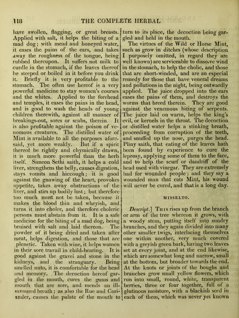 have swollen, flagging, or great breasts. {turn to its place, the decoction being gar- Applied with salt, it helps the biting of a 1 gled and held in the mouth, mad dog; with mead and honeyed water, j The virtues of the Wild or Horse Mint, it eases the pains of the ears, and takes I such as grow in ditches (whose description away the roughness of the tongue, being! I purposely omitted, in regard they are rubbed thereupon. It suffers not milk to j well known) are serviceable to disso»ve wind curdle in the stomach, if the leaves thereof j in the stomach, to help the cholic, and those be steeped or boiled in it before you drink (that are short-winded, and are an especial it.. Briefly it is very profitable to the \ remedy for those that have veneral dreams stomach. The often use hereof is a very j and pollutions in the night, being outwardly powerful medicine to stay women's courses \ applied. The juice dropped into the ears and the whites. Applied to the forehead \ eases the pains of them, and destroys the and temples, it eases the pains in the head,; worms that breed therein. They are good and is good to wash the heads of young j against the venemous biting of serpents, children therewith, against all manner of l The juice laid on warm, helps the king's breakings-out, sores or scabs, therein. It | evil, or kernels in the throat. The decoction is also profitable against the poison of ve-|or distilled water helps a stinking breath, nomous creatures. The distilled water of [ proceeding from corruption of the teeth, Mint is available to all the purposes afore- jand snuffed up the nose, purges the head, said, yet more weakly. But if a spirit j| Pliny saith, that eating of the leaves hath thereof be rightly and chymically drawn, | been found by experience to cure the it is much more powerful than the herb } leprosy, applying some of them to the face, itself. Simeon Sethi saith, it helps a cold 1 and to help the scurf or dandriff of the liver, strengthens the belly, causes digestion, i head used with vinegar. They are extremely r>tays vomits and hiccough; it is good ) bad for wounded people; and they say a against the gnawing of the heart, provokes ^ wounded man that eats Mint, his wound appetite, takes away obstructions of the pvill never be cured, and that is a long day. liver, and stirs up bodily lust; but therefore? too much must not be taken, because it? misselto. makes the blood thin and wheyish, and | turns it into choler, and therefore choleric j Descript.~\ This rises up from the branch persons must abstain from it. It is a safe 1 or arm of the tree whereon it grows, with medicine for the biting of a mad dog, being! a woody stem, putting itself into sundry bruised with salt and laid thereon. The | branches, and they again divided into many powder of it being dried and taken after! other smaller twigs, interlacing themselves meat, helps digestion, and those that are lone within another, very much covered plenetic. Taken with wine, it helps women j with a greyish green bark, having two leaves in their sore travail in child-bearing. It is | set at every joint, and at the end likewise, good against the gravel and stone in the \ which are somewhat long and narrow, small kidneys, and the stranguary. Being l at the bottom, but broader towards the end. smelled unto, it is comfortable for the head i At the knots or joints of the boughs and and memory. The decoction hereof gar-; branches grow small yellow flowers, which gled in the mouth, cures the gums and j run into small, round, white, transparent mouth that are sore, and mends an ill-; berries, three or four together, full of a savoured breath ; as also the Rue and Cori-| glutinous moisture, with a blackish seed in ander, causes the palate of the mouth to; each of them, which was never yet known