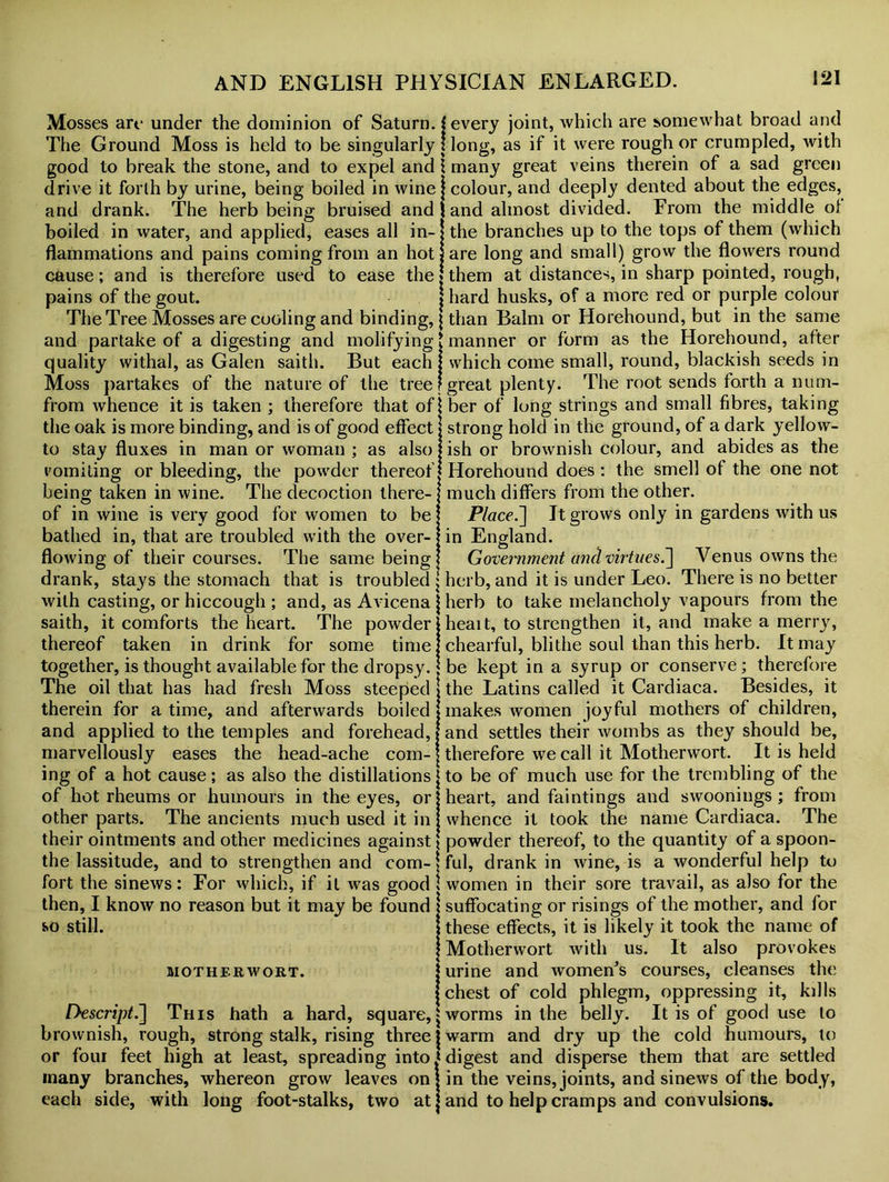 Mosses are under the dominion of Saturn. $ every joint, which are somewhat broad and The Ground Moss is held to be singularly 1 long, as if it were rough or crumpled, with '? many great veins therein of a sad green colour, and deeply dented about the edges, and almost divided. From the middle of the branches up to the tops of them (which are long and small) grow the flowers round them at distances, in sharp pointed, rough, hard husks, of a more red or purple colour than Balm or Horehound, but in the same good to break the stone, and to expel and drive it forth by urine, being boiled in wine and drank. The herb being bruised and boiled in water, and applied, eases all in- flammations and pains coming from an hot cause; and is therefore used to ease the pains of the gout. The Tree Mosses are cooling and binding, and partake of a digesting and molifying manner or form as the Horehound, after quality withal, as Galen saith. But each which come small, round, blackish seeds in Moss partakes of the nature of the tree 1 great plenty. The root sends forth a num- from whence it is taken ; therefore that ofjber of long strings and small fibres, taking the oak is more binding, and is of good effect j strong hold in the ground, of a dark yellow- to stay fluxes in man or woman ; as alsojishor brownish colour, and abides as the vomiting or bleeding, the powder thereof! Horehound does: the smell of the one not being taken in wine. The decoction there-? much differs from the other, of in wine is very good for women to be | Place.] It grows only in gardens with us bathed in, that are troubled with the over- j in England. flowing of their courses. The same being j Government and virtues.] Venus owns the drank, stays the stomach that is troubled j herb, and it is under Leo. There is no better with casting, or hiccough ; and, as Avicena j herb to take melancholy vapours from the saith, it comforts the heart. The powder j heai t, to strengthen it, and make a merry, thereof taken in drink for some time j chearful, blithe soul than this herb. It may together, is thought available for the dropsy. | be kept in a syrup or conserve; therefore The oil that has had fresh Moss steeped I the Latins called it Cardiaca. Besides, it therein for a time, and afterwards boiled ! makes women joyful mothers of children, and applied to the temples and forehead, j and settles their wombs as they should be, marvellously eases the head-ache com- j therefore we call it Motherwort. It is held ing of a hot cause; as also the distillations j to be of much use for the trembling of the of hot rheums or humours in the eyes, or? heart, and faintings and swoonings ; from other parts. The ancients much used it in I whence it took the name Cardiaca. The their ointments and other medicines against ( powder thereof, to the quantity of a spoon- the lassitude, and to strengthen and com- \ ful, drank in wine, is a wonderful help to fort the sinews: For which, if it was good \ women in their sore travail, as also for the then, I know no reason but it may be found \ suffocating or risings of the mother, and for so still. I these effects, it is likely it took the name of | Motherwort with us. It also provokes motherwort. j urine and women’s courses, cleanses the | chest of cold phlegm, oppressing it, kills Descript J] This hath a hard, square, j worms in the belly. It is of good use to brownish, rough, strong stalk, rising three j warm and dry up the cold humours, to or foui feet high at least, spreading into? digest and disperse them that are settled many branches, whereon grow leaves on j in the veins, joints, and sinews of the body, each side, with long foot-stalks, two at j and to help cramps and convulsions.