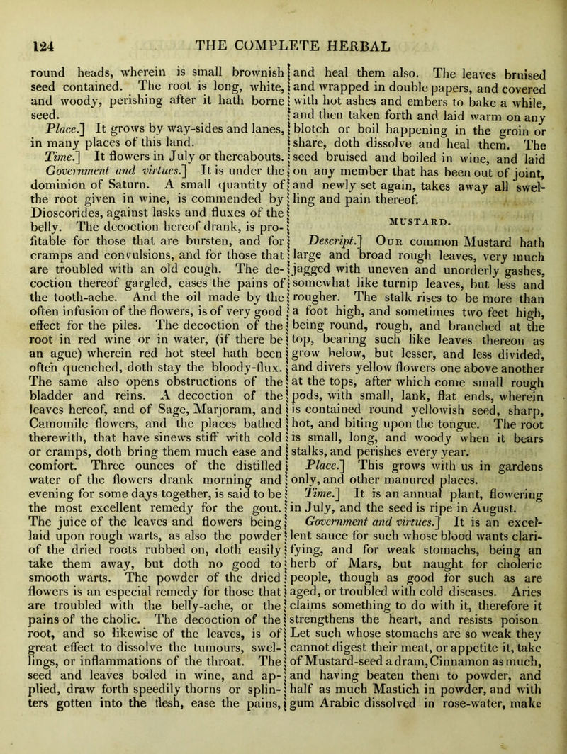 round heads, wherein is small brownish j and heal them also. The leaves bruised seed contained. The root is long, white, j and wrapped in double papers, and covered and woody, perishing after it hath borne j with hot ashes and embers to bake a while, seed. \ and then taken forth and laid warm on any Place.] It grows by way-sides and lanes, \ blotch or boil happening in the groin or in many places of this land. j share, doth dissolve and heal them. The Time.] It flowers in July or thereabouts. \ seed bruised and boiled in wine, and laid Government and virtues.] It is under the \ on any member that has been out of joint, dominion of Saturn. A small quantity of land newly set again, takes away all swel- the root given in wine, is commended by i ling and pain thereof. Dioscorides, against lasks and fluxes of the 1 belly. The decoction hereof drank, is pro- j mustard. fltable for those that are bursten, and for ] Descript.] Our common Mustard hath cramps and convulsions, and for those thatUarge and broad rough leaves, very much are troubled with an old cough. The de- ] jagged with uneven and unorderly gashes, coction thereof gargled, eases the pains of i somewhat like turnip leaves, but less and the tooth-ache. A.nd the oil made by the 1 rougher. The stalk rises to be more than often infusion of the flowers, is of very good ja foot high, and sometimes two feet high, effect for the piles. The decoction of the \ being round, rough, and branched at the root in red wine or in water, (if there be \ top, bearing such like leaves thereon as an ague) wherein red hot steel hath been j grow below, but lesser, and less divided, often quenched, doth stay the bloody-flux. ;and divers yellow flowers one above another The same also opens obstructions of the j at the tops, after which come small rough bladder and reins. A decoction of the | pods, with small, lank, flat ends, wherein leaves hereof, and of Sage, Marjoram, and 4 is contained round yellowish seed, sharp, Camomile flowers, and the places bathed } hot, and biting upon the tongue. The root therewith, that have sinews stiff with cold i is small, long, and woody when it bears or cramps, doth bring them much ease and j stalks, and perishes every year, comfort. Three ounces of the distilled \ Place.] This grows with us in gardens water of the flowers drank morning and ] only, and other manured places, evening for some days together, is said to be J Time.] It is an annual plant, flowering the most excellent remedy for the gout.! in July, and the seed is ripe in August. The juice of the leaves and flowers being] Government and virtues.] It is an excef- laid upon rough warts, as also the powder \ lent sauce for such whose blood wants clari- of the dried roots rubbed on, doth easily \ fying, and for weak stomachs, being an take them away, but doth no good to] herb of Mars, but naught for choleric smooth warts. The powder of the dried \ people, though as good for such as are flowers is an especial remedy for those that! aged, or troubled with cold diseases. Aries are troubled with the belly-ache, or the \ claims something to do with it, therefore it pains of the cholic. The decoction of the \ strengthens the heart, and resists poison root, and so likewise of the leaves, is of \ Let such whose stomachs are so weak they great effect to dissolve the tumours, swel- j cannot digest their meat, or appetite it, take lings, or inflammations of the throat. The seed and leaves boiled in wine, and ap- plied, draw forth speedily thorns or splin- of Mustard-seed a dram, Cinnamon as much, and having beaten them to powder, and half as much Mastich in powder, and with ters gotten into the flesh, ease the pains, \ gum Arabic dissolved in rose-water, make
