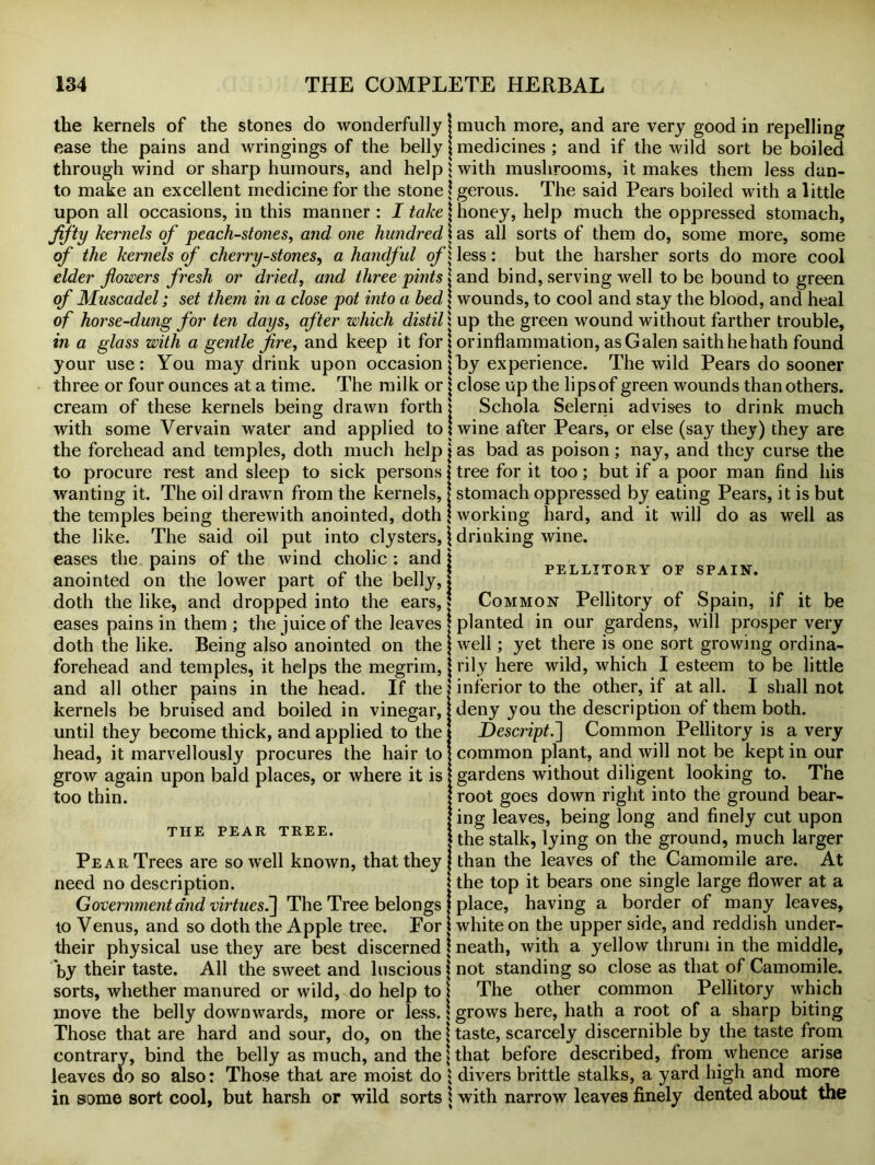 the kernels of the stones do wonderfully j much more, and are very good in repelling ease the pains and wringings of the belly j medicines ; and if the wild sort be boiled through wind or sharp humours, and help \ with mushrooms, it makes them less dan- to make an excellent medicine for the stone 1 gerous. The said Pears boiled with a little upon all occasions, in this manner : I take \ honey, help much the oppressed stomach, fifty kernels of peach-stones, and one hundred j as all sorts of them do, some more, some of the kernels of cherry-stones, a handf ul of \ less: but the harsher sorts do more cool elder flowers fresh or dried, and three pints \ and bind, serving well to be bound to green of Muscadel; set them in a close pot into a bed \ wounds, to cool and stay the blood, and heal of horse-dung for ten days, after which distill up the green wound without farther trouble, in a glass with a gentle fire, and keep it for * or inflammation, as Galen saithhehath found your use: You may drink upon occasion \ by experience. The wild Pears do sooner three or four ounces at a time. The milk or j close up the lips of green wounds than others, cream of these kernels being drawn forth j Schola Selerni advises to drink much with some Vervain water and applied to I wine after Pears, or else (say they) they are the forehead and temples, doth much help i as bad as poison; nay, and they curse the to procure rest and sleep to sick persons j tree for it too; but if a poor man find his wanting it. The oil drawn from the kernels, j stomach oppressed by eating Pears, it is but the temples being therewith anointed, doth \ working hard, and it will do as well as the like. The said oil put into clysters, \ drinking wine, eases the pains of the wind cholic: and \ „ • . j * , -j r .i i n J PELLITORY OF SPAIN. anointed on the lower part or the belly,» doth the like, and dropped into the ears, j Common Pellitory of Spain, if it be eases pains in them ; the juice of the leaves | planted in our gardens, will prosper very doth the like. Being also anointed on the j well; yet there is one sort growing ordina- forehead and temples, it helps the megrim, j rily here wild, which I esteem to be little and all other pains in the head. If the i inferior to the other, if at all. I shall not kernels be bruised and boiled in vinegar, I deny you the description of them both, until they become thick, and applied to the I Descriptf\ Common Pellitory is a very head, it marvellously procures the hair to j common plant, and will not be kept in our grow again upon bald places, or where it is {gardens without diligent looking to. The too thin. | root goes down right into the ground bear- | ing leaves, being long and finely cut upon the pear tree. | the stalk, lying on the ground, much larger Pear Trees are so well known, that they j than the leaves of the Camomile are. At need no description. i the top it bears one single large flower at a Government and virtues The Tree belongs j place, having a border of many leaves, to Venus, and so doth the Apple tree. For white on the upper side, and reddish under- their physical use they are best discerned j neath, with a yellow thrum in the middle, by their taste. All the sweet and luscious \ not standing so close as that of Camomile, sorts, whether manured or wild, do help to \ The other common Pellitory which move the belly downwards, more or less. \ grows here, hath a root of a sharp biting Those that are hard and sour, do, on the \ taste, scarcely discernible by the taste from contrary, bind the belly as much, and the | that before described, from whence arise leaves do so also: Those that are moist do 1 divers brittle stalks, a yard high and more in some sort cool, but harsh or wild sorts \ with narrow leaves finely dented about the
