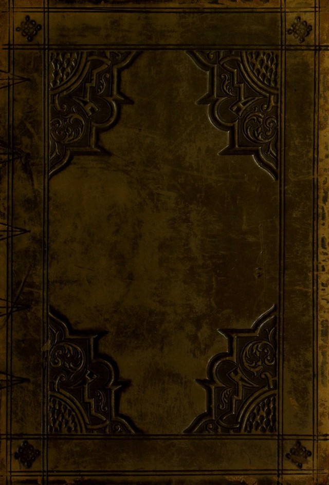 No text description is available for this image