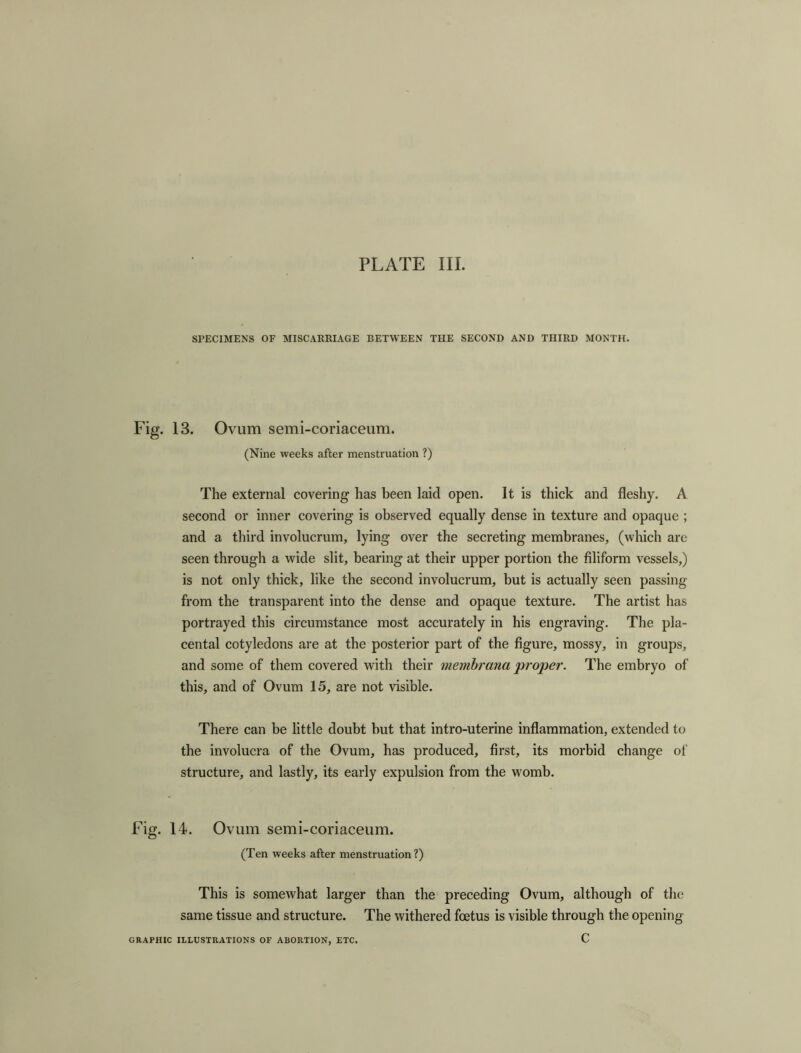 SPECIMENS OF MISCARRIAGE BETWEEN THE SECOND AND THIRD MONTH. Fig. 13. Ovum semi-coriaceum. (Nine weeks after menstruation ?) The external covering has been laid open. It is thick and fleshy. A second or inner covering is observed equally dense in texture and opaque ; and a third involucrum, lying over the secreting membranes, (which are seen through a wide slit, bearing at their upper portion the filiform vessels,) is not only thick, like the second involucrum, but is actually seen passing from the transparent into the dense and opaque texture. The artist has portrayed this circumstance most accurately in his engraving. The pla- cental cotyledons are at the posterior part of the figure, mossy, in groups, and some of them covered with their membrana proper. The embryo of this, and of Ovum 15, are not visible. There can be little doubt hut that intro-uterine inflammation, extended to the involucra of the Ovum, has produced, first, its morbid change of structure, and lastly, its early expulsion from the womb. Fig. 14. Ovum semi-coriaceum. (Ten weeks after menstruation?) This is somewhat larger than the preceding Ovum, although of the same tissue and structure. The withered foetus is visible through the opening C GRAPHIC ILLUSTRATIONS OF ABORTION, ETC.