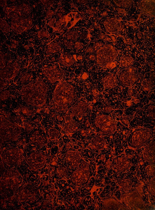 digitised image 3