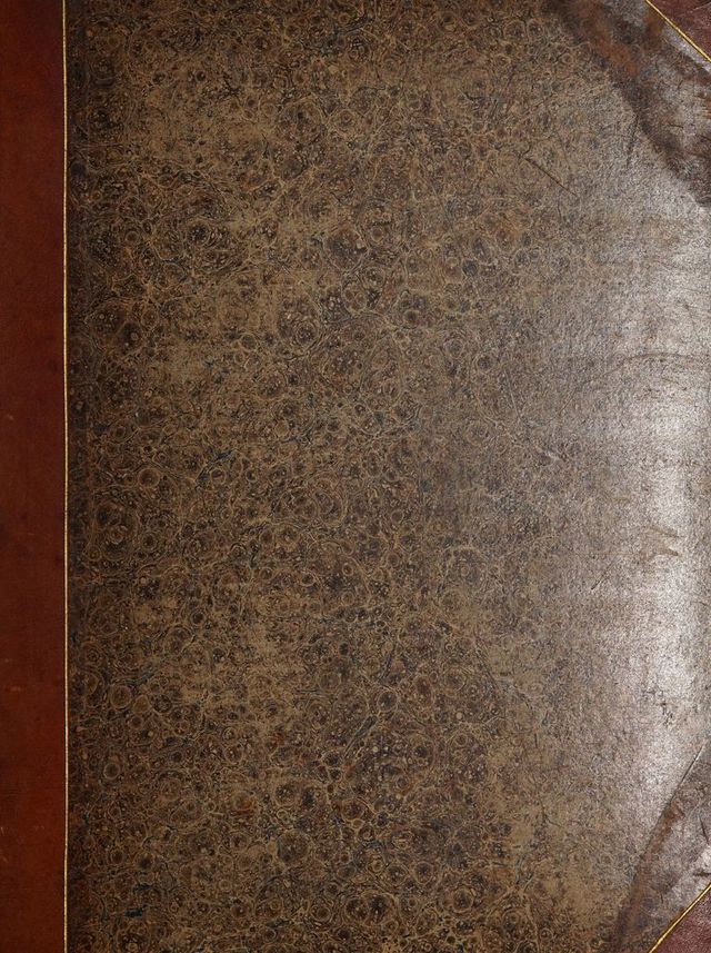 digitised image 1