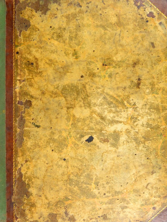 No text description is available for this image