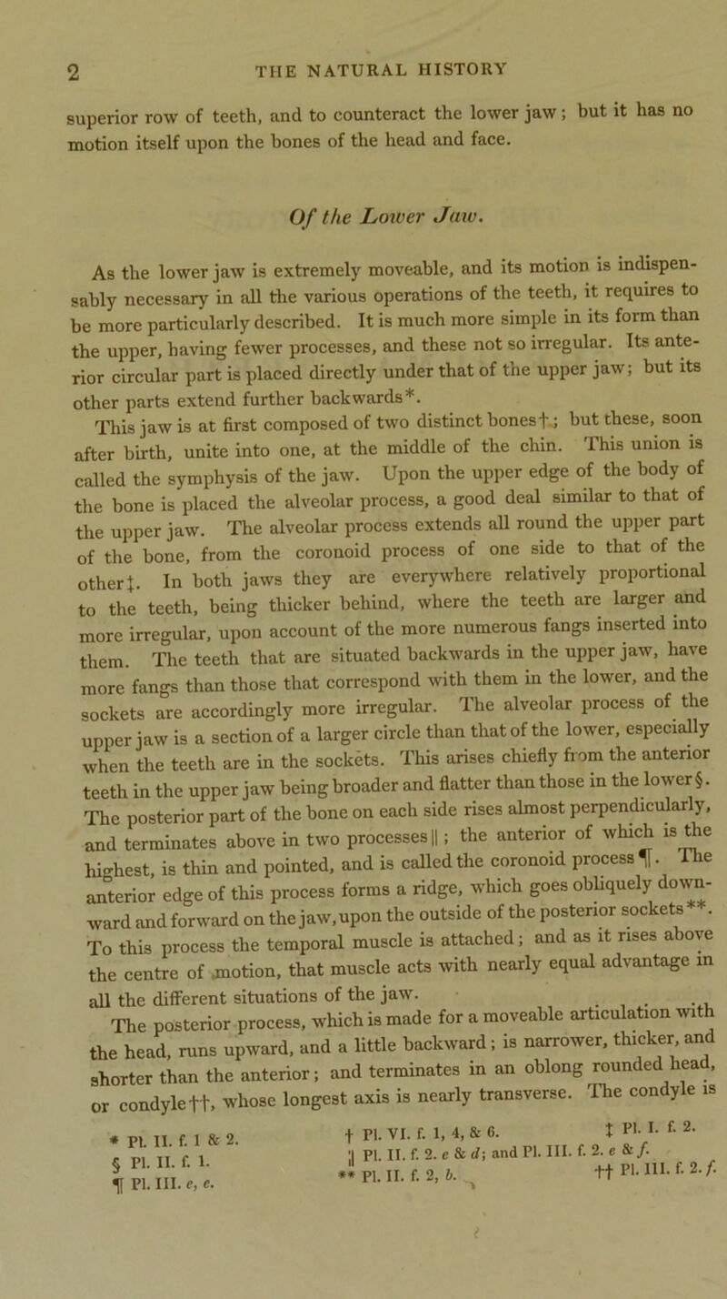 superior row of teeth, and to counteract the lower jaw; but it has no motion itself upon the hones of the head and face. Of the Lower Jaw. As the lower jaw is extremely moveable, and its motion is indispen- sably necessary in all the various operations of the teeth, it requires to be more particularly described. It is much more simple in its form than the upper, having fewer processes, and these not so irregular. Its ante- rior circular part is placed directly under that of the upper jaw; but its other parts extend further backwards*. This jaw is at first composed of two distinct bones to but these, soon after birth, unite into one, at the middle of the chin. This union is called the symphysis of the jaw. Upon the upper edge of the body of the bone is placed the alveolar process, a good deal similar to that of the upper jaw. The alveolar process extends all round the upper part of the bone, from the coronoid process of one side to that of the other I. In both jaws they are everywhere relatively proportional to the teeth, being thicker behind, where the teeth are larger and more irregular, upon account of the more numerous fangs inserted into them. The teeth that are situated backwards in the upper jaw, have more fangs than those that correspond with them in the lower, and the sockets are accordingly more irregular. The alveolar process of the upper jaw is a section of a larger circle than that of the lower, especially when the teeth are in the sockets. This arises chiefly from the anterior teeth in the upper jaw being broader and flatter than those in the lower §. The posterior part of the bone on each side rises almost perpendicularly, and terminates above in two processes ||; the anterior of which is the highest, is thin and pointed, and is called the coronoid process I he anterior edge of this process forms a ridge, which goes obliquely down- ward and forward on the jaw, upon the outside of the posterior sockets . To this process the temporal muscle is attached; and as it rises above the centre of .motion, that muscle acts with nearly equal advantage in all the different situations of the jaw. ... . , The posterior process, which is made for a moveable articulation with the head, runs upward, and a little backward; is narrower, thicker and shorter than the anterior; and terminates in an oblong rounded hea , or condyle f t. whose longest axis is nearly transverse. The condyle is t PI. VI. f. 1, 4, & 6. I PI- x- f- 2- 'I PI. II. f. 2. c & d; and PI. III. f. 2. e &/. ** PI. II. f. 2, b. ^ tt PI- l11- f- 2- f- * PI. II. f. 1 & 2. § PI. II. f. 1. If PI. III. e, e. i