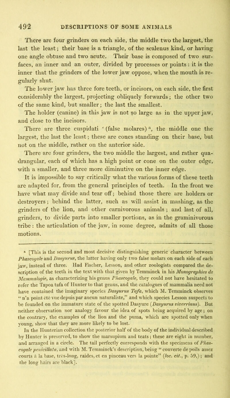 There are four grinders on each side, the middle two the largest, the last the least; their base is a triangle, of the scalenus kind, or having one angle obtuse and two acute. Their base is composed of two sur- faces, an inner and an outer, divided by processes or points : it is the inner that the grinders of the lower jaw oppose, when the mouth is re- gularly shut. The lower jaw has three fore teeth, or incisors, on each side, the first considerably the largest, projecting obliquely forwards; the other two of the same kind, but smaller; the last the smallest. The holder (canine) in this jaw is not so large as in the upper jaw', and close to the incisors. There are three cuspidati ‘ (false molares) the middle one the largest, the last the least; these are cones standing on their base, but not on the middle, rather on the anterior side. There are four grinders, the two middle the largest, and rather qua- drangular, each of which has a high point or cone on the outer edge, with a smaller, and three more diminutive on the inner edge. It is impossible to say critically what the various forms of these teeth are adapted for, from the general principles of teeth. In the front we have what may divide and tear off; behind those there are holders or destroyers; behind the latter, such as will assist in mashing, as the grinders of the lion, and other carnivorous animals ; and last of all, grinders, to divide parts into smaller portions, as in the graminivorous tribe : the articulation of the jaw, in some degTee, admits of all those motions. a [This is the second and most decisive distinguishing generic character between PhascoyaJe and Dasyurus, the latter having only two false molars on each side of each jaw, instead of three. Had Fischer, Lesson, and other zoologists compared the de- scription of the teeth in the text with that given by Temminck in his Monographies de Mammalogie, as characterizing his genus Phascogale, they could not have hesitated to refer the Tapoa tafa of Hunter to that genus, and the catalogues of mammalia need not have contained the imaginary species Dasyurus Tafa, which M. Temminck observes “ n’a point ete vue depuis par aucun naturaliste,” and which species Lesson suspects to be founded on the immature state of the spotted Dasyure {Dasyurus viverrinus). But neither observation nor analogy favour the idea of spots being acquired by age; on the contrary, the examples of the lion and the puma, which are spotted only when young, show that they are more likely to be lost. In the Hunterian collection the posterior half of the body of the individual described by Hunter is preserved, to show the marsupium and teats; these are eight in number, and arranged in a circle. The tail perfectly corresponds with the specimens of Phas- cogale penicillata, and with M. Temminck’s description, being “ couverte depoils assez com'ts a la base, tres-long, raides, et en pinceau vers la pointe” {loc. cit., p. 59,); and the long hairs are black].