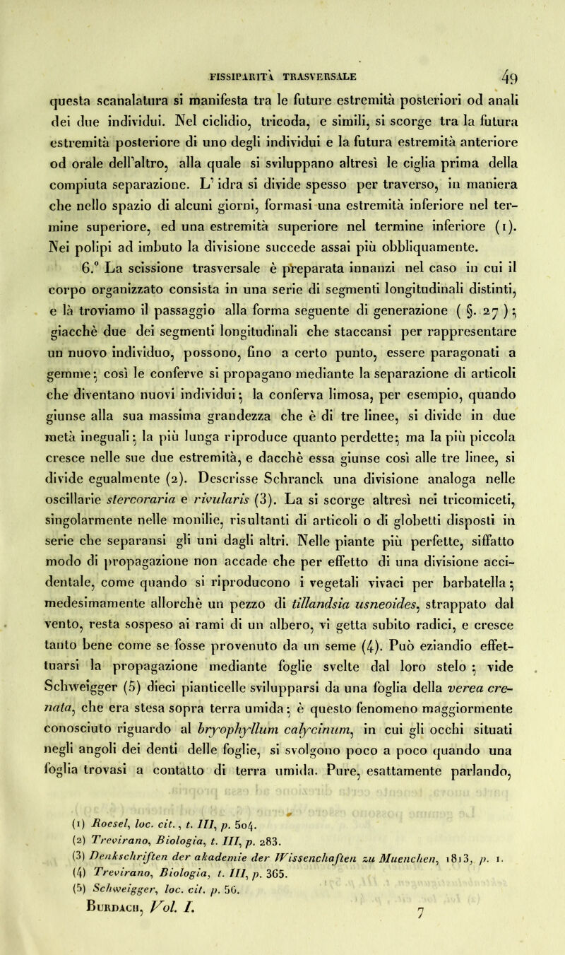 questa scanalatura si manifesta tra le future estremità posteriori od anali dei due individui. Nel ciclidio, tricoda, e simili, si scorge tra la futura estremità posteriore di uno degli individui e la futura estremità anteriore od orale delfaltro, alla quale si sviluppano altresì le ciglia prima della compiuta separazione. L’idra si divide spesso per traverso, in maniera che nello spazio di alcuni giorni, formasi una estremità inferiore nel ter- mine superiore, ed una estremità superiore nel termine inferiore (i). Nei polipi ad imbuto la divisione succede assai più obbliquamente. 6.° La scissione trasversale è preparata innanzi nel caso in cui il corpo organizzato consista in una serie di segmenti longitudinali distinti, e là troviamo il passaggio alla forma seguente di generazione ( §. 27 ) } giacché due dei segmenti longitudinali che staccansi per rappresentare un nuovo individuo, possono, fino a certo punto, essere paragonati a gemme} così le conferve si propagano mediante la separazione di articoli che diventano nuovi individui } la conferva limosa, per esempio, quando giunse alla sua massima grandezza che è di tre linee, si divide in due metà ineguali^ la più lunga riproduce quanto perdette} ma la più piccola cresce nelle sue due estremità, e dacché essa giunse così alle tre linee, si divide egualmente (2). Descrisse Schranck una divisione analoga nelle oscillane stercoraria e rivularis (3). La si scorge altresì nei tricomiceti, singolarmente nelle monilie, risultanti di articoli o di globetti disposti in serie che separansi gli uni dagli altri. Nelle piante più perfette, siffatto modo di propagazione non accade che per effetto di una divisione acci- dentale, come quando si riproducono i vegetali vivaci per barbatella} medesimamente allorché un pezzo di tillandsia usneoides: strappato dal vento, resta sospeso ai rami di un albero, vi getta subito radici, e cresce tanto bene come se fosse provenuto da un seme (4). Può eziandio effet- tuarsi la propagazione mediante foglie svelte dal loro stelo } vide Schweigger (5) dieci pianticelle svilupparsi da una foglia della verea cre- nata,, che era stesa sopra terra umida} è questo fenomeno maggiormente conosciuto riguardo al hryophyllum calycuium, in cui gli occhi situati negli angoli dei denti delle foglie, si svolgono poco a poco quando una foglia trovasi a contatto di terra umida. Pure, esattamente parlando, (1) Roesel, toc. cit., t. Ili, p. 5o4. (2) Trevirano. Biologìa, t. IH, p. 283. (3) Denkschriften der akademic der JVissenchaften zu Muenchen, i8i3, p. 1. (4) Trevirano, Biologia, t. III, p. 365. (5) Schweigger, loc. cit. p. 56. Burdach, Voi. /. n ' j