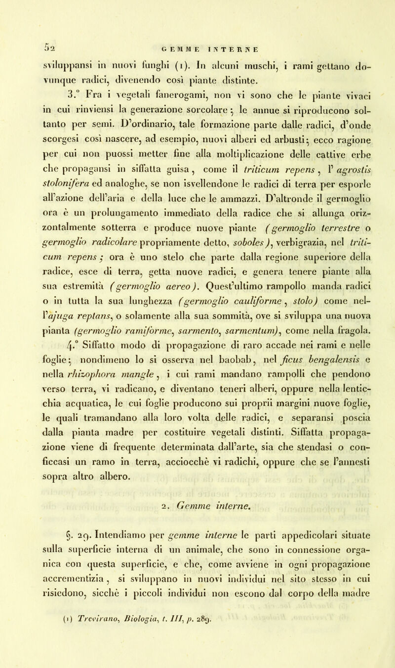 svilupparci in nuovi lunghi (i). In alcuni muschi, i rami gettano do- vunque radici, divenendo così piante distinte. 3.° Fra i vegetali fanerogami, non vi sono che le piante vivaci in cui rinviensi la generazione sorcolare -, le annue si riproducono sol- tanto per semi. D’ordinario, tale formazione parte dalle radici, d’onde scorgesi così nascere, ad esempio, nuovi alberi ed arbusti:, ecco ragione per cui non puossi metter fine alla moltiplicazione delle cattive erbe che propagatisi in siffatta guisa , come il triticum repens , 1’ agrostis stolonifera ed analoghe, se non Avellendone le radici di terra per esporle all’azione dell’aria e della luce che le ammazzi. D’altronde il germoglio ora è un prolungamento immediato della radice che si allunga oriz- zontalmente sotterra e produce nuove piante (germoglio terrestre o germoglio radicolare propriamente detto, soboles), verbigrazia, nel triti- cum repens ; ora è uno stelo che parte dalla regione superiore della radice, esce di terra, getta nuove radici, e genera tenere piante alla sua estremità (germoglio aereo). Quest’ultimo rampollo manda radici o in tutta la sua lunghezza (germoglio cauliforme , stolo) come nel- Vajuga reptans, o solamente alla sua sommità, ove si sviluppa una nuova pianta (germoglio rami/òrme, sarmento, sarmentum), come nella fragola. 4*° Siffatto modo di propagazione di raro accade nei rami e nelle foglie:, nondimeno lo si osserva nel baobab, nel ficus bengalensis e nella rhizophora mangle , i cui rami mandano rampolli che pendono verso terra, vi radicano, e diventano teneri alberi, oppure nella lentic- chia acquatica, le cui foglie producono sui proprii margini nuove foglie, le quali tramandano alla loro volta delle radici, e separansi poscia dalla pianta madre per costituire vegetali distinti. Siffatta propaga- zione viene di frequente determinata dall’arte, sia che stendasi o con- ficcasi un ramo in terra, acciocché vi radichi, oppure che se l’annesti sopra altro albero. 2. Gemme interne. §. 2q. Intendiamo per gemme interne le parti appedicolari situate sulla superficie interna di un animale, che sono in connessione orga- nica con questa superficie, e che, come avviene in ogni propagazione accrementizia , si sviluppano in nuovi individui nel sito stesso in cui risiedono, sicché i piccoli individui non escono dal corpo della madre