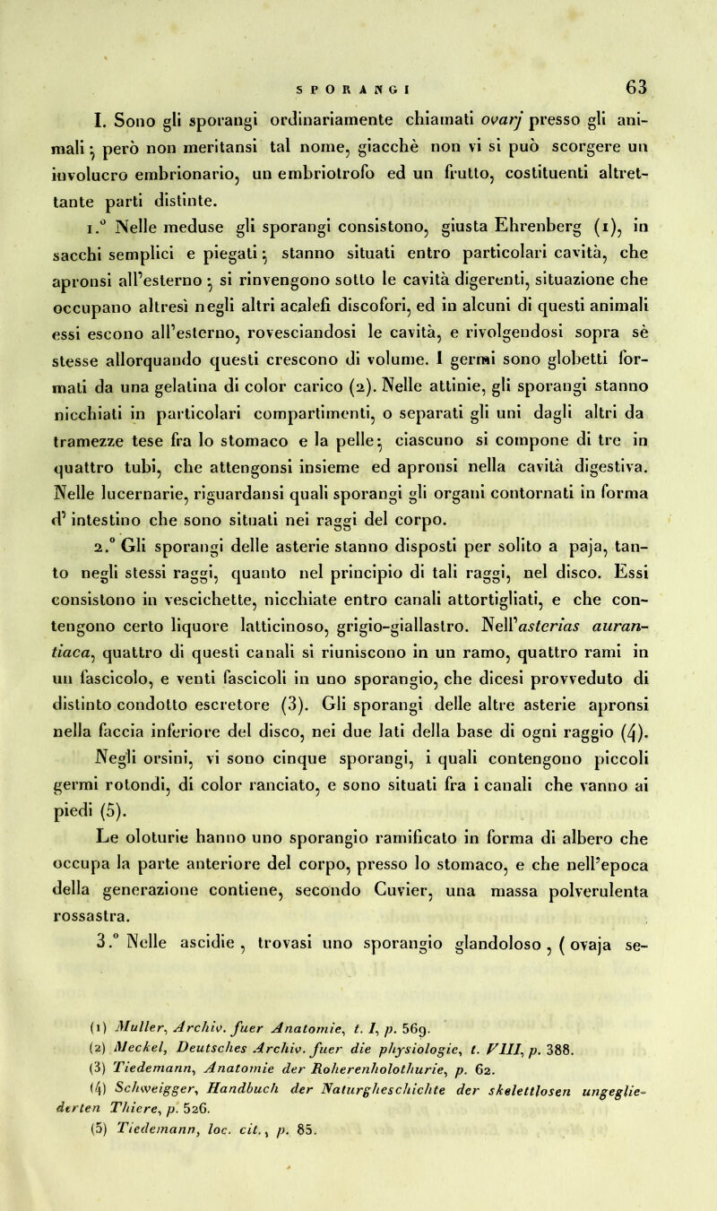 I. Sono gli sporangi ordinariamente chiamati ovarj presso gli ani- mali *, però non meritansi tal nome, giacché non vi si può scorgere un involucro embrionario, un embriotrofo ed un frutto, costituenti altret- tante parti distinte. i.° Nelle meduse gli sporangi consistono, giusta Ehrenberg (i), in sacelli semplici e piegati stanno situati entro particolari cavità, che apronsi alfesterno• si rinvengono sotto le cavità digerenti, situazione che occupano altresì negli altri acalefi discofori, ed in alcuni di questi animali essi escono alPesterno, rovesciandosi le cavità, e rivolgendosi sopra sé stesse allorquando questi crescono di volume. 1 germi sono globetti for- mati da una gelatina di color carico (2). Nelle attinie, gli sporangi stanno nicchiati in particolari compartimenti, o separati gli uni dagli altri da tramezze tese fra lo stomaco e la pelle*, ciascuno si compone di tre in quattro tubi, che attengonsi insieme ed apronsi nella cavità digestiva. Nelle lucernarie, riguardatisi quali sporangi gli organi contornati in forma d’intestino che sono situati nei raggi del corpo. 2.0 Gli sporangi delle asterie stanno disposti per solito a paja, tan- to negli stessi raggi, quanto nel principio di tali raggi, nel disco. Essi consistono in vescichette, nicchiate entro canali attortigliati, e che con- tengono certo liquore latticinoso, grigio-giallastro. NelPasfer/as auran- tiaca, quattro di questi canali si riuniscono in un ramo, quattro rami in un fascicolo, e venti fascicoli in uno sporangio, che dicesi provveduto di distinto condotto escretore (3). Gli sporangi delle altre asterie apronsi nella faccia inferiore del disco, nei due lati della base di ogni raggio (4). Negli orsini, vi sono cinque sporangi, i quali contengono piccoli germi rotondi, di color ranciato, e sono situati fra i canali che vanno ai piedi (5). Le oloturie hanno uno sporangio ramificato in forma di albero che occupa la parte anteriore del corpo, presso lo stomaco, e che nell’epoca della generazione contiene, secondo Cuvier, una massa polverulenta rossastra. 3.° Nelle ascidie, trovasi uno sporangio glandoloso , ( ovaja se- (1) Müller, Archiv, fuer Anatomie, t. /, p. 56g. (2) Meckel, Deutsches Archiv, fuer die physiologie, l. V111, p. 388. (3) Tledemann. Anatomie der Roherenholothurie, p. 62. (4) Schweigger, Handbuch der Naturghe schichte der skelettlosen un ge glie- dtrten Tliiere, p. 526. (5) Ticdemann, loc. cit, > p. 85.