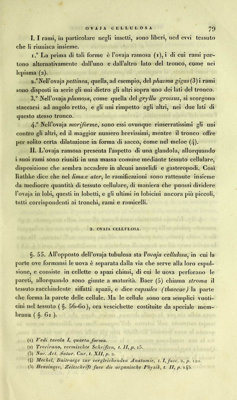 I. I rami, in particolare negli insetti, sono liberi, ned evvi tessuto che li riunisca insieme. 1. ° La prima di tali forme è l’ovaja ramosa (i), i di cui rami par- tono alternativamente dall’uno e dall’altro Iato del tronco, come nei lepisma (2). 2. °Nell’ovaja pettinea: quella, ad esempio, dei phasma gigas(3)i rami sono disposti in serie gli uni dietro gli altri sopra uno dei Iati del tronco. 3. ° Nell’ovaja piumosa, come quella del gryllu grossus, si scorgono staccarsi ad angolo retto, e gli uni rimpetto agli altri, nei due lati di questo stesso tronco. 4-° Nell’ovaja moriforme, sono essi ovunque rinserratissimi gli uni contro gli altri, ed il maggior numero brevissimi, mentre il tronco offre per solito certa dilatazione in forma di sacco, come nel meloe (4). IL L’ovaja ramosa presenta l’aspetto di una glandola, allorquando i suoi rami sono riuniti in una massa comune mediante tessuto cellulare, disposizione che sembra accadere in alcuni annelidi e gasteropodi. Così Rathke dice che nel Umax ater, le ramificazioni sono rattenute insieme da mediocre quantità di tessuto cellulare, di maniera che puossi dividere l’ovaja in lobi, questi in lobetti, e gli ultimi in 1 obicini ancora più piccoli, tutti corrispondenti ai tronchi, rami e ramicelli. 2. OVAJA CELLULOSA. §. 55. All’opposto dell’ovaja tubulosa sta Yovaja cellulosa, in cui la parte ove formansi le uova è separata dalla via che serve alla loro espul- sione, e consiste in cellette o spazi chiusi, di cui le uova perforano le pareti, allorquando sono giunte a maturità. Baer (5) chiama stroma il tessuto racchiudente siffatti spazii, e diee capsules (thaecae) la parte che forma la parete delle cellule. Ma le cellule sono ora semplici vuoti- cini nel tessuto ( §. 56-6o), ora vescichette costituite da speciale meni- ■ brana ( §. 61 ). (1) Vedi tavola /, quarta forma. (2) Trevirano, vermischte Schriften, t. 11\ p. i5. (3) Nov. A. et. Natur. Cur. t. X//, p. 2. (/|) Meckel, Baitraege zur vergleichenden Anatomie., I. /, fase. 2, p. 120. (3) Hensingeì\ Zeitschrift fuer die organische Physik, t. II, p. 1 /j 5.