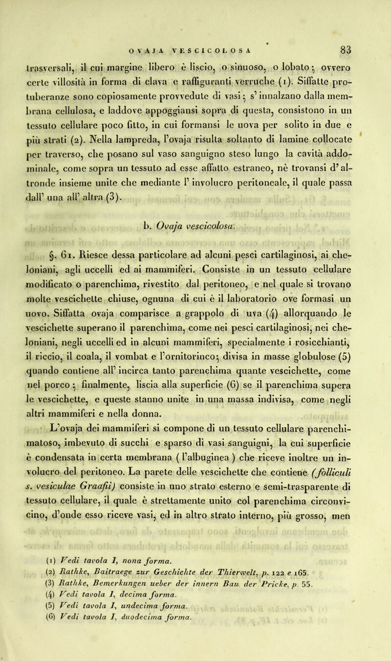 trasversali, il cui margine libero è liscio, o sinuoso, o lobato -, ovvero certe villosità in forma di clava e raffiguranti verruche (i). Siffatte pro- tuberanze sono copiosamente provvedute di vasi ^ s’innalzano dalla mem- brana cellulosa, e laddove appoggiansi sopra di questa, consistono in un tessuto cellulare poco fitto, in cui formansi le uova per solito in due e più strati (2). Nella lampreda, l’ovaja risulta soltanto di lamine collocate per traverso, che posano sul vaso sanguigno steso lungo la cavità addo- minale, come sopra un tessuto ad esse affatto estraneo, nè trovansi d’al- tronde insieme unite che mediante P involucro peritoneale, il quale passa dall’ una alP altra (3). b. O va jet vescicolosa. §. 61. Riesce dessa particolare ad alcuni pesci cartilaginosi, ai clie- loniani, agli uccelli ed ai mammiferi. Gonsiste in un tessuto cellulare modificato o parenchima, rivestito dal peritoneo, e nel quale si trovano molte vescichette chiuse, ognuna di cui è il laboratorio ove formasi un uovo. Siffatta ovaja comparisce a grappolo di uva (4) allorquando le vescichette superano il parenchima, come nei pesci cartilaginosi, nei che- loniani, negli uccelli ed in alcuni mammiferi, specialmente i rosicchianti, il riccio, il coala, il vombat e l’ornitorinco:, divisa in masse globulose (5) quando contiene all’ incirca tanto parenchima quante vescichette, come nel porco } finalmente, liscia alla superficie (6) se il parenchima supera le vescichette, e queste stanno unite in una massa indivisa, come negli altri mammiferi e nella donna. L’ovaja dei mammiferi si compone di un tessuto cellulare parenchi- matoso, imbevuto di succhi e sparso di vasi sanguigni, la cui superficie è condensata in certa membrana ( Palbuginea ) che riceve inoltre un in- volucro del peritoneo. La parete delle vescichette che contiene (folliculi s. vesiculae Graafii) consiste in uno strato esterno e semi-trasparente di tessuto cellulare, il quale è strettamente unito col parenchima circonvi- cino, d’onde esso riceve vasi, ed in altro strato interno, più grosso, men (1) Vedi tavola I, nona forma. (2) Rathke, Baitraege zur Geschichte der Thierwelt, p. 122 e i65. (3) Rathke, Bemerkungen ueber der innern Bau der Pricke, p 55 (4) Vedi tavola 7, decima forma. (5) Vedi tavola /, undecima forma. (G) Vedi tavola /, duodecima forma,