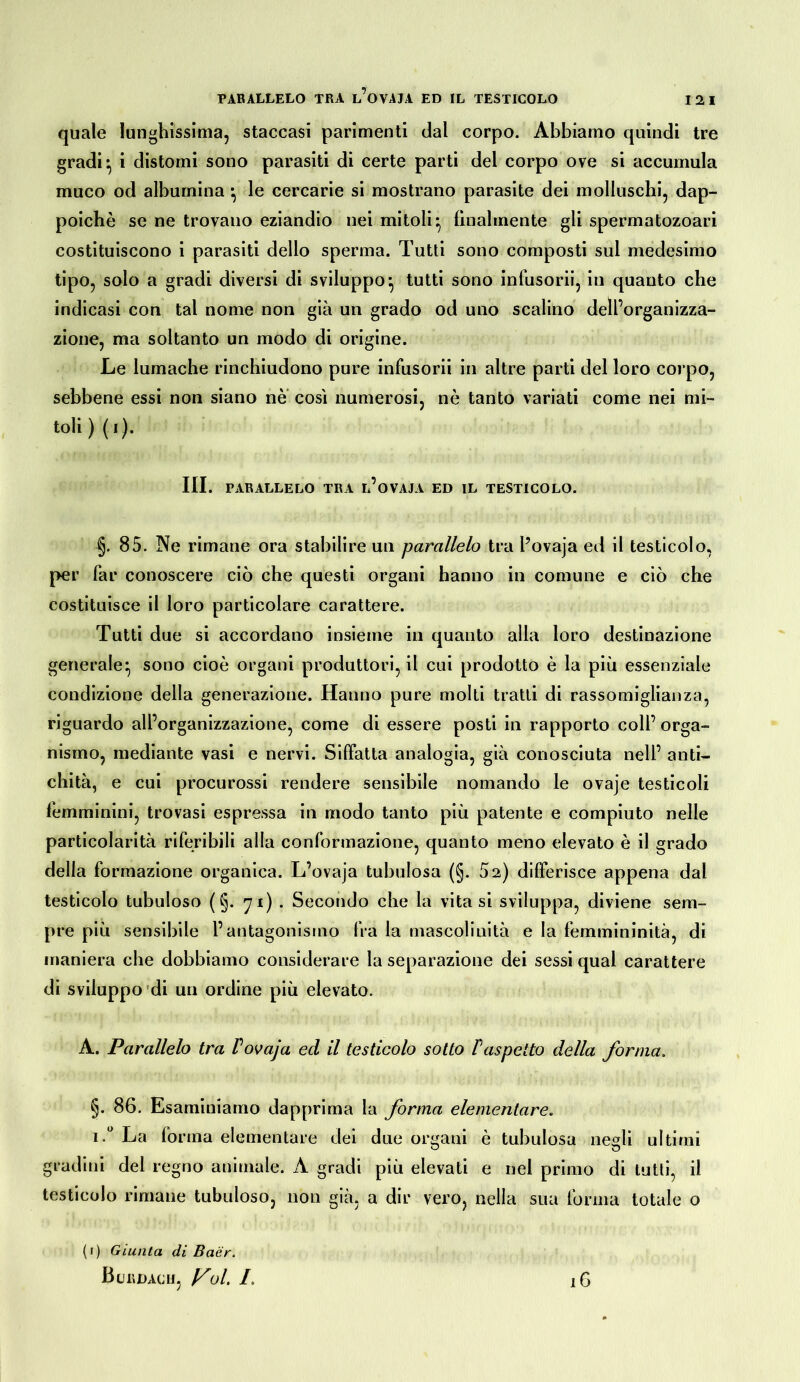 1 2,1 quale lunghissima, staccasi parimenti dal corpo. Abbiamo quindi tre gradi* i distomi sono parasiti di certe parti del corpo ove si accumula muco od albumina } le cercarie si mostrano parasite dei molluschi, dap- poiché se ne trovano eziandio nei mitoli} finalmente gli spermatozoari costituiscono i parasiti dello sperma. Tutti sono composti sul medesimo tipo, solo a gradi diversi di sviluppo} tutti sono infusorii, in quanto che indicasi con tal nome non già un grado od uno scalino dell’organizza- zione, ma soltanto un modo di origine. Le lumache rinchiudono pure infusorii in altre parti del loro corpo, sebbene essi non siano nè così numerosi, nò tanto variati come nei un- toli ) ( i). III. PARALLELO TRA l’oVAJA ED IL TESTICOLO. 85. Ne rimane ora stabilire un parallelo tra l’ovaja ed il testicolo, per far conoscere ciò che questi organi hanno in comune e ciò che costituisce il loro particolare carattere. Tutti due si accordano insieme in quanto alla loro destinazione generale^ sono cioè organi produttori, il cui prodotto è la più essenziale condizione della generazione. Hanno pure molti tratti di rassomiglianza, riguardo all’organizzazione, come di essere posti in rapporto coll’ orga- nismo, mediante vasi e nervi. Siffatta analogia, già conosciuta nell’ anti- chità, e cui procurossi rendere sensibile nomando le ovaje testicoli femminini, trovasi espressa in modo tanto più patente e compiuto nelle particolarità riferibili alla conformazione, quanto meno elevato è il grado della formazione organica. L’ovaja tubolosa (§. 52) differisce appena dal testicolo tubuloso ( §. 71) . Secondo che la vita si sviluppa, diviene sem- pre più sensibile l’antagonismo fra la mascolinità e la femmininità, di maniera che dobbiamo considerare la separazione dei sessi qual carattere di sviluppo di un ordine più elevato. A. Parallelo tra Povaja ed il testicolo sotto /’aspetto della forma. §. 86. Esaminiamo dapprima la forma elementare. i-° La forma elementare dei due organi è tubulosa negli ultimi gradini del regno animale. A gradi più elevati e nel primo di tutti, il testicolo rimane tuboloso, non già, a dir vero, nella sua forma totale o (1) Giunta di Baer. B CEDACI!, J/ol. L l6