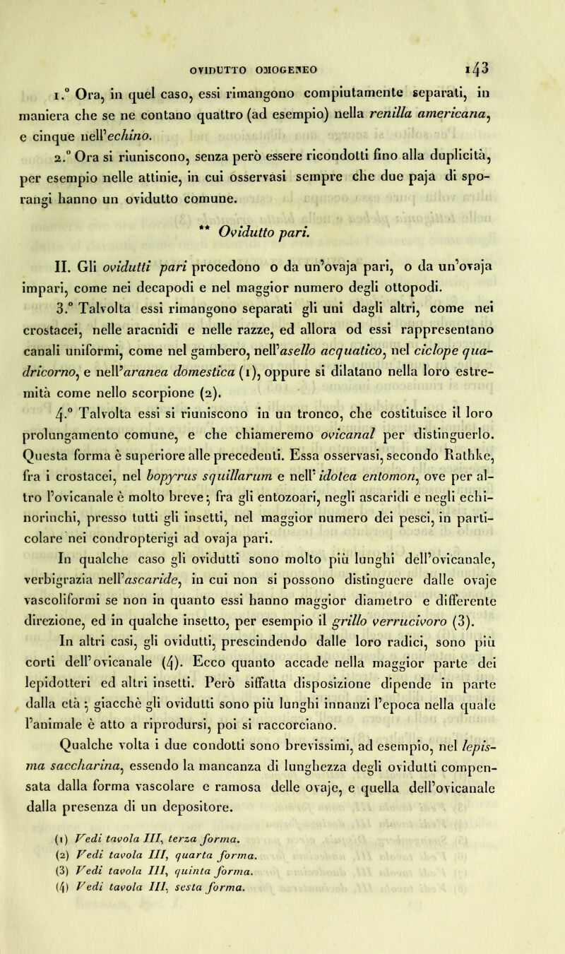 i.° Ora, in quel caso, essi rimangono compiutamente separati, in maniera che se ne contano quattro (ad esempio) nella remila americana, e cinque weW echino. 2.0 Ora si riuniscono, senza però essere ricondotti fino alla duplicità, per esempio nelle attinie, in cui osservasi sempre che due paja di spo- rangi hanno un ovidutto comune. ** Ovidutto pari. II. Gli ovidutti pari procedono o da un’ovaja pari, o da un’ovaja impari, come nei decapodi e nel maggior numero degli ottopodi. 3.° Talvolta essi rimangono separati gli uni dagli altri, come nei crostacei, nelle aracnidi e nelle razze, ed allora od essi rappresentano canali uniformi, come nel gambero, neWasello acquatico, nel ciclope qua- dricorno, e nelVaranea domestica (1), oppure si dilatano nella loro estre- mità come nello scorpione (2). 4-° Talvolta essi si riuniscono in un tronco, che costituisce il loro prolungamento comune, e che chiameremo ovicanal per distinguerlo. Questa forma è superiore alle precedenti. Essa osservasi, secondo Rathke, fra i crostacei, nel bopyriis squillarum e nell’ idotea entomon, ove per al- tro l’ovicanale è molto breve \ fra gli entozoari, negli ascaridi e negli echi- norinchi, presso tutti gli insetti, nel maggior numero dei pesci, in parti- colare nei condropterigi ad ovaja pari. In qualche caso gli ovidutti sono molto più lunghi dell’ovicanale, verbigrazia nelX*ascaride^ in cui non si possono distinguere dalle ovaje vascoliformi se non in quanto essi hanno maggior diametro e differente direzione, ed in qualche insetto, per esempio il grillo verrucivoro (3). In altri casi, gli ovidutti, prescindendo dalle loro radici, sono più corti dell’ovicanale (4). Ecco quanto accade nella maggior parte dei lepidotteri ed altri insetti. Però siffatta disposizione dipende in parte dalla età *, giacché gli ovidutti sono più lunghi innanzi l’epoca nella quale l’animale è atto a riprodursi, poi si raccorciano. Qualche volta i due condotti sono brevissimi, ad esempio, nel lepis- ma saccharina, essendo la mancanza di lunghezza degli ovidutti compen- sata dalla forma vascolare e ramosa delle ovaje, e quella dell’ovicanale dalla presenza di un depositore. (t) Vedi tavola III, terza forma. (2) Vedi tavola III, quarta forma. (3) Vedi tavola 111, quinta forma. (4) Vedi tavola III, sesta forma.