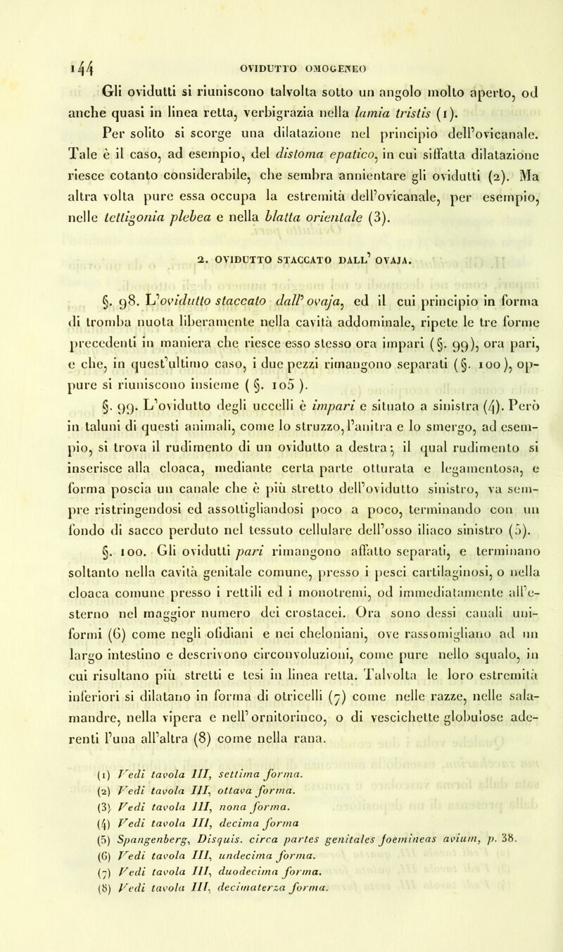 Gli ovidutti si riuniscono talvolta sotto un angolo molto aperto, od anche quasi in linea retta, verbigrazia nella lamia tristis (i). Per solito si scorge una dilatazione nel principio dell’ovicanale. Tale è il caso, ad esempio, del distoma epatico, in cui siffatta dilatazione riesce cotanto considerabile, che sembra annientare gli ovidutti (2). Ma altra volta pure essa occupa la estremità dell’ovicanale, per esempio, nelle tettigonia plebea e nella blatta orientale (3). 2. OVIDUTTO STACCATO DALL’ OVAJA. §. 98. L’ovidutto staccato daW ovaja: ed il cui principio in forma di tromba nuota liberamente nella cavità addominale, ripete le tre forme precedenti in maniera che riesce esso stesso ora impari (§. 99), ora pari, e che, in quest’ultimo caso, i due pezzi rimangono separati (§. 100), op- pure si riuniscono insieme ( §. 10D ). §. 99. L’ovidutto degli uccelli è impari e situato a sinistra (/j). Però in taluni di questi animali, come lo struzzo, l’anitra e lo smergo, ad esem- pio, si trova il rudimento di un ovidutto a destra*, il qual rudimento si inserisce alla cloaca, mediante certa parte otturata e legamentosa, e forma poscia un canale che è più stretto dell’ovidutto sinistro, va sem- pre ristringendosi ed assottigliandosi poco a poco, terminando con un fondo di sacco perduto nel tessuto cellulare dell’osso iliaco sinistro (a). §. 100. Gli ovidutti pari rimangono all'atto separati, e terminano soltanto nella cavità genitale comune, presso i pesci cartilaginosi, o nella cloaca comune presso i rettili ed i monotremi, od immediatamente all’e- sterno nel maggior numero dei crostacei. Ora sono dessi canali uni- formi (6) come negli olidiani e nei cheloniani, ove rassomigliano ad un largo intestino e descrivono circonvoluzioni, come pure nello squalo, in cui risultano più stretti e tesi in linea retta. Talvolta le loro estremità inferiori si dilatano in forma di otricelli (7) come nelle razze, nelle sala- mandre, nella vipera e nell’ornitorinco, o di vescichette globulose ade- renti l’una all’altra (8) come nella rana. (1) Vedi tavola III, settima forma. (2) Vedi tavola III, ottava forma. (3\ Vedi tavola 111, nona forma. (4) Vedi tavola III, decima forma (5) Spangenberg, Discjuis. circa partes genitales Joemineas avium, p. 38. (G) Vedi tavola III, undecima forma. (7) Vedi tavola III, duodecima forma. (8) Vedi tavola III, decimaterza forma.