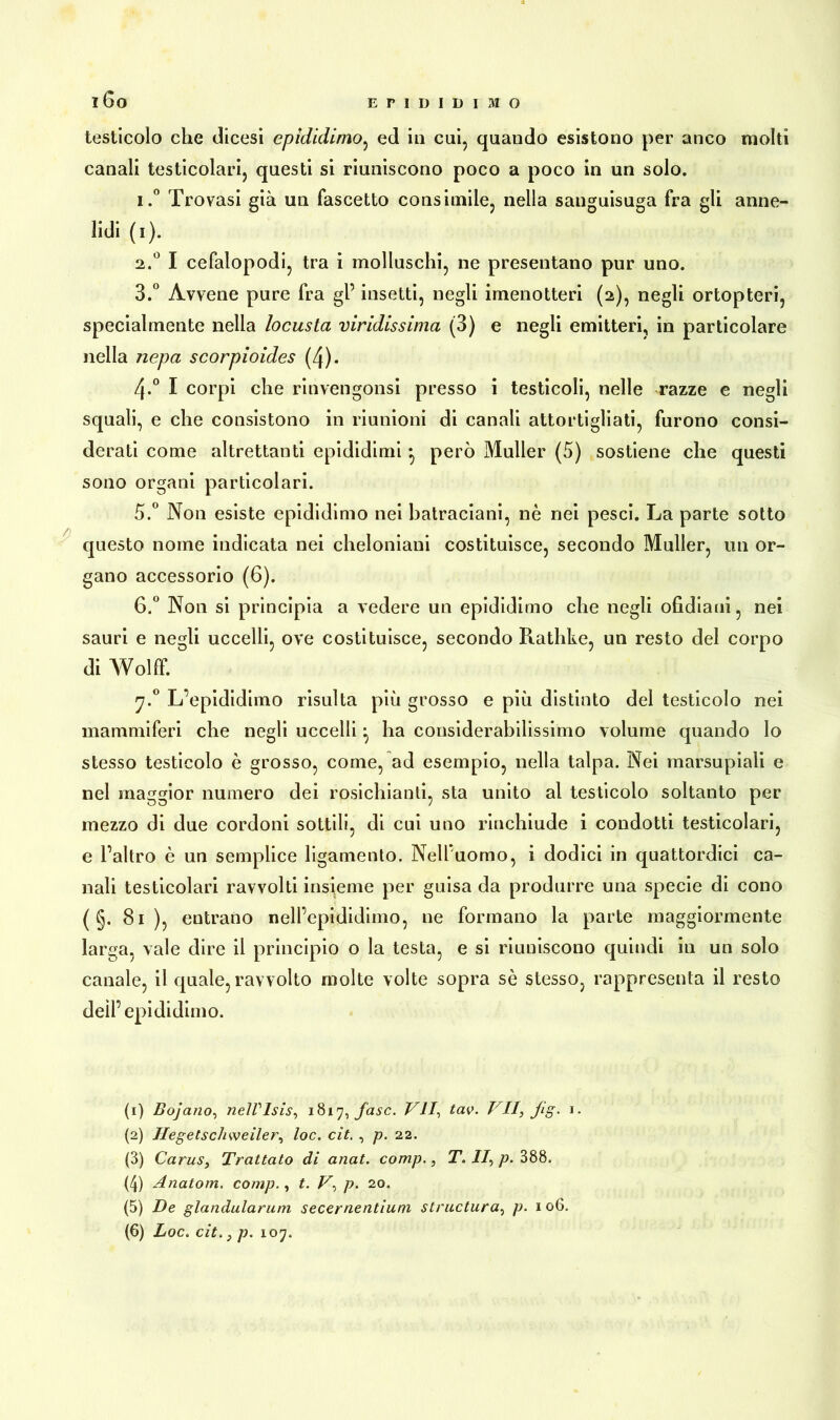 i6o EPIDIDIMO testicolo che dicesi epididimo, ed in cui, quando esistono per anco molti canali testicolari, questi si riuniscono poco a poco in un solo. 1. ° Trovasi già un fascetto consimile, nella sanguisuga fra gli anne- lidi (i). 2. ° I cefalopodi, tra i molluschi, ne presentano pur uno. 3. ° Àvvene pure fra gl’ insetti, negli imenotteri (2), negli ortopteri, specialmente nella locusta vividissima (3) e negli emitteri, in particolare nella nepa scorpioides (4). 4-° I corpi che rinvengonsi presso i testicoli, nelle razze e negli squali, e che consistono in riunioni di canali attortigliati, furono consi- derati come altrettanti epididimi • però Müller (5) sostiene che questi sono organi particolari. 5. ° Non esiste epididimo nei batraciani, nè nei pesci. La parte sotto questo nome indicata nei cheloniani costituisce, secondo Müller, un or- gano accessorio (6). 6. ° Non si principia a vedere un epididimo che negli ofidiaui, nei sauri e neMi uccelli, ove costituisce, secondo Rathke, un resto del corpo di Wolff. 7.0 L’epididimo risulta più grosso e più distinto del testicolo nei mammiferi che negli uccelli ^ ha considerabilissimo volume quando lo stesso testicolo è grosso, come, ad esempio, nella talpa. Nei marsupiali e nel maggior numero dei rosichianti, sta unito al testicolo soltanto per mezzo di due cordoni sottili, di cui uno rinchiude i condotti testicolari, e l’altro è un semplice ligamento. Nell’uomo, i dodici in quattordici ca- nali testicolari ravvolti insieme per guisa da produrre una specie di cono ( §. 81), entrano nell’epididimo, ne formano la parte maggiormente larga, vale dire il principio o la testa, e si riuniscono quindi in un solo canale, il quale, ravvolto molte volte sopra sè stesso, rappresenta il resto dell’ epididimo. (1) Bojano, nelVlsis, 1817, fase. VII, tav. VII\ Jig. 1. (2) Hegetschweiler, toc. cìt. , p. 22. (3) Carus, Trattato di anat. comp., T. II, p. 388. (4) Anatom, comp., t. Vp. 20. (5) De glandularum secernentiuni structura, p. 1 06.