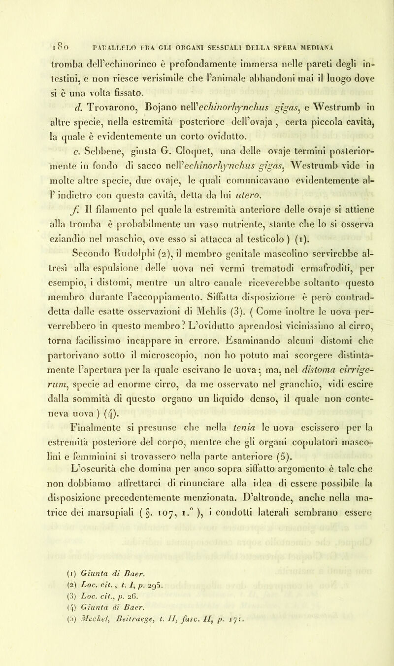 tromba delPeclìinorinco è profondamente immersa nelle pareti degli in- testini, e non riesce verisimile che Panimale abbandoni mai il luogo dove si è una volta fissato. d. Trovarono, Bojano ne\Vechinorhynclius gigas, e Westrumb in altre specie, nella estremità posteriore delPovaja , certa piccola cavità, la quale è evidentemente un corto ovidutto. e. Sebbene, giusta G. Cloquet, una delle ovaje termini posterior- mente in fondo di sacco neW echinor/iynchus gigas, Westrumb vide in molte altre specie, due ovaje, le quali comunicavano evidentemente ai- fi indietro con questa cavità, detta da lui utero. f II filamento pel quale la estremità anteriore delle ovaje si attiene alla tromba è probabilmente un vaso nutriente, stante che lo si osserva eziandio nel màschio, ove esso si attacca al testicolo) (i). Secondo Rudolphi (2), il membro genitale mascolino servirebbe al- tresì alla espulsione delle uova nei vermi trematodi ermafroditi, per esempio, i distomi, mentre un altro canale riceverebbe soltanto questo membro durante Paccoppiamento. Siffatta disposizione è però contrad- detta dalle esatte osservazioni di Mehlis (3). ( Come inoltre le uova per- verrebbero in questo membro? L’ovidutto aprendosi vicinissimo al cirro, torna facilissimo incappare in errore. Esaminando alcuni distomi che partorivano sotto il microscopio, non ho potuto mai scorgere distinta- mente l’apertura per la quale escivano le uova -, ma, nel distoma cirrige- rum, specie ad enorme cirro, da me osservato nel granchio, vidi escire dalla sommità di questo organo un liquido denso, il quale non conte- neva uova ) (4). Finalmente si presunse che nella tenia le uova escissero per la estremità posteriore del corpo, mentre che gli organi copulatoci masco- lini e femminini si trovassero nella parte anteriore (5). L’oscurità che domina per anco sopra siffatto argomento è tale che non dobbiamo affrettarci di rinunciare alla idea di essere possibile la disposizione precedentemente menzionata. D’altronde, anche nella ma- trice dei marsupiali ( §. 107, i.° ), i condotti laterali sembrano essere (1) Giunta di Baer. (2) Loc. cit., t. /, p. 2q5. (3) Loc. cit., p. 26. (4) Giunta di Baer. (5) Meckel, Beitraege, t. il, fase, li, p, jji.