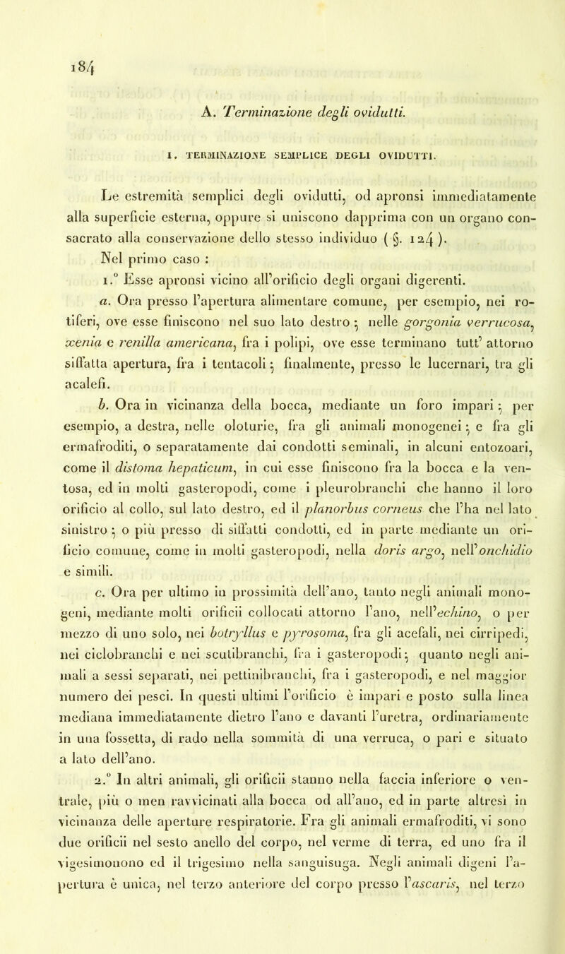 i8/( A. Terminazione degli ovidutti. 1. TERMINAZIONE SEMPLICE DEGLI OVIDUTTI. Le estremità semplici degli ovidutti, od apronsi immediatamente alla superficie esterna, oppure si uniscono dapprima con un organo con- sacrato alla conservazione dello stesso individuo ( §. 124 )• Nel primo caso : i.° Esse apronsi vicino all’orificio degli organi digerenti. a. Ora presso l’apertura alimentare comune, per esempio, nei ro- tiferi, ove esse finiscono nel suo lato destro * nelle gorgonia verrucosa, ccenia e remila americana, fra i polipi, ove esse terminano tutt’ attorno siffatta apertura, fra i tentacoli} finalmente, presso le lucernari, tra gli acalefi. b. Ora in vicinanza della bocca, mediante un foro impari } per esempio, a destra, nelle oloturie, fra gli animali monogenei} e fra gli ermafroditi, o separatamente dai condotti seminali, in alcuni entozoari, come il distoma hepaticum, in cui esse finiscono fra la bocca e la ven- tosa, ed in molti gasteropodi, come i pleurobranchi che hanno il loro orificio al collo, sul lato destro, ed il planorbus corneus che l’ha nel lato sinistro} o più presso di siffatti condotti, ed in parte mediante un ori- ficio comune, come in molti gasteropodi, nella doris argo: neWonchidio e simili. c. Ora per ultimo in prossimità delfano, tanto negli animali mono- geni, mediante molti orificii collocati attorno l’ano, nell 'echino^ o per mezzo di uno solo, nei botryllus e pyrosoma, fra gli acefali, nei cirripedi, nei ciclobranchi e nei scutibranchi, fra i gasteropodi} quanto negli ani- mali a sessi separati, nei pettinibianchi, fra i gasteropodi, e nel maggior numero dei pesci. In questi ultimi l’orificio è impari e posto sulla linea mediana immediatamente dietro l’ano e davanti l’uretra, ordinariamente in una fossetta, di rado nella sommità di una verruca, o pari e situato a lato dell’ano. 2.° In altri animali, gli orificii stanno nella faccia inferiore o ven- trale, più o men ravvicinati alla bocca od all’ano, ed in parte altresì in vicinanza delle aperture respiratorie. Fra gli animali ermafroditi, vi sono due orificii nel sesto anello del corpo, nel verme di terra, ed uno fra il vigesimonono ed il trigesimo nella sanguisuga. Negli animali digeni l’a- pertura è unica, nel terzo anteriore del corpo presso Vascaris^ nel terzo