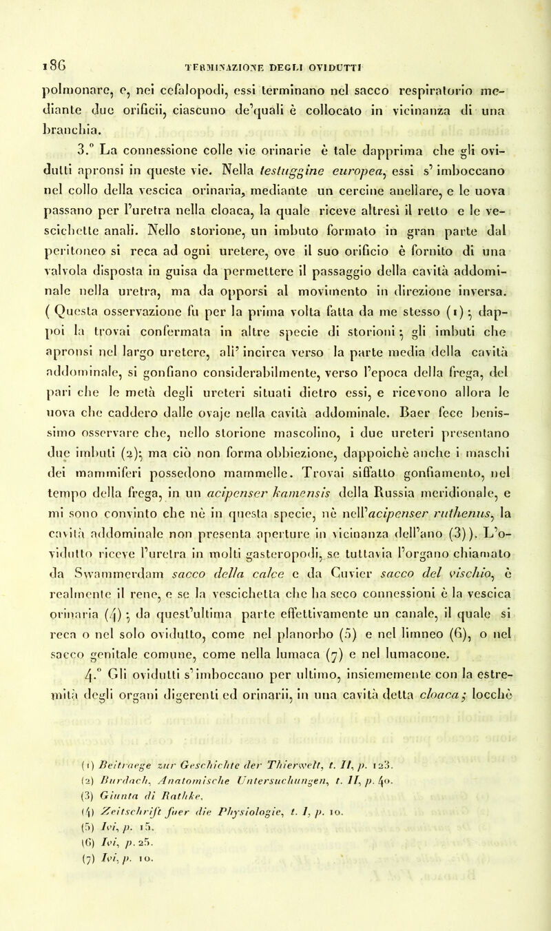 polmonare, e, nel cefalopodi, essi terminano nel sacco respiratorio me- diante due orificii, ciascuno de’quali è collocato in vicinanza di una branchia. 3.° La connessione colle vie orinarie è tale dapprima che gli ovi- dutti apronsi in queste vie. Nella testuggine europea, essi s’imboccano nel collo della vescica orinaria, mediante un cercine anelìare, e le uova passano per l’uretra nella cloaca, la quale riceve altresì il retto e le ve- scichette anali. Nello storione, un imbuto formato in gran parte dal peritoneo si reca ad ogni uretere, ove il suo orificio è fornito di una valvola disposta in guisa da permettere il passaggio della cavità addomi- nale nella uretra, ma da opporsi al movimento in direzione inversa. ( Questa osservazione fu per la prima volta fatta da me stesso (i) * dap- poi la trovai confermata in altre specie di storioni ^ gli imbuti che apronsi nel largo uretere, ali1 2 3 4 5 * 7 incirca verso la parte media della cavità addominale, si gonfiano considerabilmente, verso l’epoca della frega, del pari che le metà degli ureteri situati dietro essi, e ricevono allora le uova che caddero dalle ovaje nella cavità addominale. Baer fece benis- simo osservare che, nello storione mascolino, i due ureteri presentano due imbuti (a)* ma ciò non forma obbiezione, dappoiché anche i maschi dei mammiferi possedono mammelle. Trovai siffatto gonfiamento, nel tempo della frega, in un acipcnser kamensis della Russia meridionale, e mi sono convinto che nè in questa specie, nè neWacipenser ruthenus, la cavità addominale non presenta aperture in vicinanza dell’ano (3))» L’o- vidutto riceve l’uretra in molti gasteropodQsje tuttavia l’organo chiamato da Swammerdam sacco delia calce e da Cu vier sacco del vischio, è realmente il rene, e se la vescichetta che ha seco connessioni è la vescica orinaria (zj) \ da quest’ultima parte effettivamente un canale, il quale si reca o nel solo ovidutto, come nel planorbo (5) e nel limneo (6), o nel sacco genitale comune, come nella lumaca (7) e nel lumacone. 4-° Gli ovidutti s’imboccano per ultimo, insiememente con la estre- mità degli organi digerenti ed orinarli, in una cavità detta cloaca ; locchè (1) Beitraege zur Geschichte der Thierweit, t. Il, p. i23. (2) Burdach, Anatomische Untersuchungen, t. II, p. ^o. (3) Giunta di Bathke, (4) Zeitschrift fuer die Physiologie, t. 1, p. 10. (5) Ivi, p. i5, \6) Ivi, p. 25. (7) hu,p. 10.