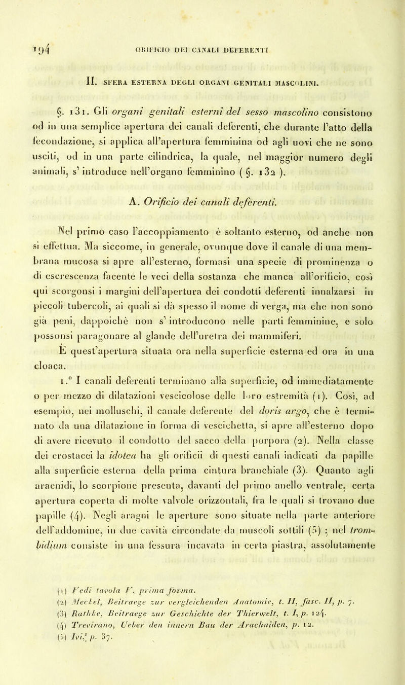 omi sero dei captali deferenti II. SFERA ESTERNA DEGLI ORGANI GENITALI MASCOLINI. 5. 131. Gli organi genitali esterni del sesso mascolino consistono od in una semplice apertura dei canali deferenti, che durante l’atto della fecondazione, si applica all’apertura femminina od agli uovi che ne sono usciti, od in una parte cilindrica, la quale, nel maggior numero degli animali, s’introduce nell’organo femminino ( §. i3a ). A. Orificio dei canali deferenti. Nel primo caso l’accoppiamento è soltanto esterno, od anche non si eflettua. Ma siccome, in generale, ovunque dove il canale di una mem- brana mucosa si apre all’esterno, formasi una specie di prominenza o di escrescenza facente le veci della sostanza che manca all’orifìcio, cosi qui scorgonsi i margini dell’apertura dei condotti deferenti innalzarsi in piccoli tubercoli, ai quali si dà spesso il nome di verga, ma che non sono già peni, dappoiché non s’introducono nelle parti femminine, e solo possonsi paragonare al glande dell’uretra dei mammiferi. E quest’apertura situata ora nella superficie esterna ed ora in una cloaca. i.° I canali deferenti terminano alla superficie, od immediatamente o per mezzo di dilatazioni vescioolose delle loro estremità (1). Così, ad esempio, nei molluschi, il canale deferente del doris argo: che è termi- nato da una dilatazione in forma di vescichetta, si apre all’esterno dopo di avere ricevuto il condotto del sacco della porpora (2). Nella classe dei crostacei la idotea ha gli orificii di questi canali indicati da papille alla superficie esterna della prima cintura branchiale (3). Quanto agli aracnidi, lo scorpione presenta, davanti del primo anello ventrale, certa apertura coperta di molte valvole orizzontali, fra le quali si trovano due papille (4)- Negli aragni le aperture sono situate nella parte anteriore delfaddomine, in due cavità circondate da muscoli sottili (f») : nel troni- hidiinn consiste in una fessura incavata in certa piastra, assolutamente p) Vedi (avola ìf, prima forma. (2) Meckel, Beitraege zur vergleichenden Anatomie, t. II, fase. II, p. 7. (3) Rathhe, Beitraege zur Geschichte der Thierwelt, t. /, p. \M[. (4) Trevirano, Lieber den intiera Bau der Arachniden, p. 12. (:j) Ivif p. 37.