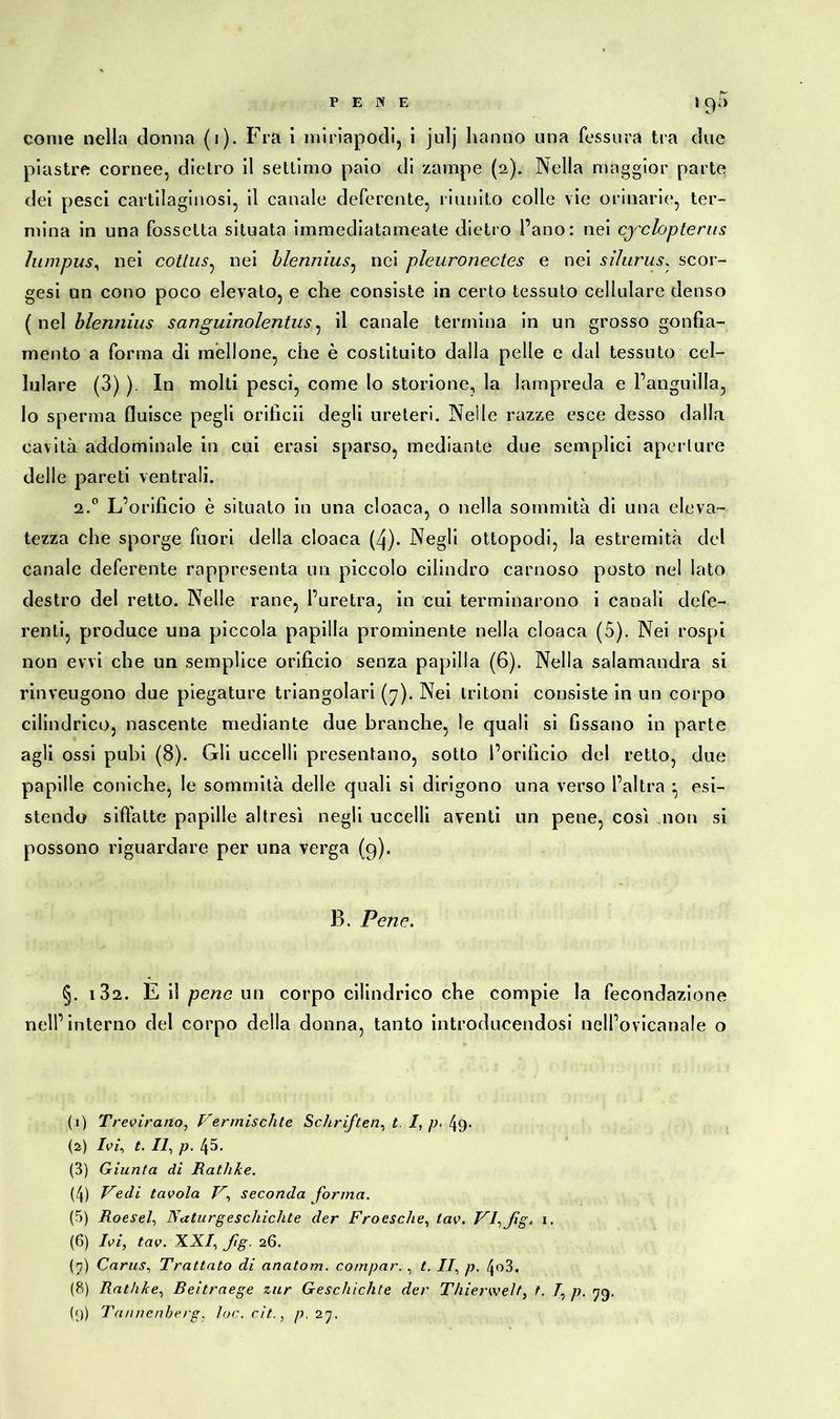 PENE 19b come nella donna (1). Fra i minapodi, i julj hanno una fessura tra due piastre cornee, dietro il settimo paio di zampe (2). Nella maggior parte dei pesci cartilaginosi, il canale deferente, riunito colle vie orinarie, ter- mina in una fossetta situata immediatameate dietro l’ano: nei cyclopterus lumpus, nei cotlus, nei blennius, nei pleuronectes e nei sìlurus, scor- gesi un cono poco elevato, e che consiste in certo tessuto cellulare denso ( nel blennius sanguinolentus, il canale termina in un grosso gonfia- mento a forma di mellone, che è costituito dalla pelle e dal tessuto cel- lulare (3) ). In molti pesci, come lo storione, la lampreda e l’anguilla, lo sperma fluisce pegli orificii degli ureteri. Nelle razze esce desso dalla cavità addominale in cui erasi sparso, mediante due semplici aperture delle pareti ventrali. 2.0 L’orificio è situato in una cloaca, o nella sommità di una eleva- tezza che sporge fuori della cloaca (4). Negli ottopodi, la estremità del canale deferente rappresenta un piccolo cilindro carnoso posto nel lato destro del retto. Nelle rane, l’uretra, in cui terminarono i canali defe- renti, produce una piccola papilla prominente nella cloaca (5). Nei rospi non evvi che un semplice orifìcio senza papilla (6). Nella salamandra si rinveugono due piegature triangolari (7). Nei tritoni consiste in un corpo cilindrico, nascente mediante due branche, le quali si fissano in parte agli ossi pubi (8). Gli uccelli presentano, sotto l’orifìcio del retto, due papille coniche, le sommità delle quali si dirigono una verso l’altra * esi- stendo siffatte papille altresì negli uccelli aventi un pene, così non si possono riguardare per una verga (9). B. Pene. §. 182. E il pene un corpo cilindrico che compie la fecondazione nell’interno del corpo della donna, tanto introducendosi nell’ovicanale o (1) Trevirano, Vermischte Schriften, t. I, p> 49- (2) Ivi, t. Il, p. 45. (3) Giunta di RathJce. (4) Vedi tavola V, seconda forma. (5) Roesel, Naturgeschichte der Froesche, lav. VI,jìg. 1. (6) Ivi, tav. XXI, fig. 26. (?) Carus, Trattato di anatom. compar. , t. Il, p. 4o3. (8) Rathke, Reitraege zur Geschichte der Thierwelt, t. 7, p. 79.