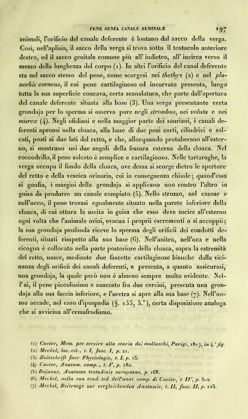 >97 animali, l’orificio del canale deferente è lontano dal sacco della verga. Così, nell’aplisia, il sacco della verga si trova sotto il tentacolo anteriore destro, ed il sacco genitale comune più all’ indietro, all’ incirca verso il mezzo della lunghezza del corpo (i). In altri l’orifìcio del canal deferente sta nel sacco stesso del pene, come scorgesi nei thethys (2) e nel pla- norbis corneus, il cui pene cartilaginoso ed incurvato presenta, lungo tutta la sua superficie concava, certa scanalatura, che parte dall’apertura del canale deferente situata alla base (3). Una verga presentante certa grondaja per lo sperma si osserva pure negli strombus: nei voluta e nei murex (4). Negli ofìdiani e nella maggior parte dei sauriani, i canali de- ferenti apronsi nella cloaca, alla base di due peni corti, cilindrici e sol- cati, posti ai due lati del retto, e che, allorquando protuberano all’ester- no, si mostrano nei due angoli della fessura esterna della cloaca. Nel coccodrillo, il pene solcato è semplice e cartilaginoso. Nelle tartarughe, la verga occupa il fondo della cloaca, ove dessa si scorge dietro le aperture del retto e della vescica orinaria, cui in conseguenza chiude• quand’essa si gonfia, i margini della grondaja si applicano uno contro l’altro in guisa da produrre un canale compiuto (5). Nello struzzo, nel casoar e nell’occo, il pene trovasi egualmente situato nella parete inferiore della cloaca, di cui ottura la uscita in guisa che esso deve uscire all’esterno ogni volta che l’animale orini, evacua i proprii escrementi o si accoppò} la sua grondaja profonda riceve lo sperma degli orificii dei condotti de- ferenti, situati rimpetto alla sua base (6). Nell’anitra, nell’oca e nella cicogna è collocato nella parte posteriore della cloaca, sopra la estremità del retto, nasce, mediante due fascette cartilaginose bianche dalla vici- nanza degli orificii dei canali deferenti, e presenta, a quanto assicurasi, una grondaja, la quale però non è almeno sempre molto evidente. Nel- l’ai, il pene piccolissimo e nascosto fra due cercini, presenta una gron- daja alla sua faccia inferiore, e l’uretra si apre alla sua base (7). Nell’uo- mo accade, nel caso d’ipospadia (§. i55, 5.°), certa disposizione analoga che si avvicina all’ermafrodismo. (1) Cuvier, Mem, per servire alla storia dei molluschi, Parigi, 1 817, \ i'Jig. (2) Meckel, loc. cit., t. I, fase. I, p. 21. (3) Zeitschrift fuer Physiologie, t. I, p. i5. (4) Cuvier, Anatom, comp., t. V, p. 182. (5) Bojanus, Anatome testudinis europaeae, p. 168. (G) Meckel, nella sua trad. ted. delVanat. comp. di Cuvier, / IV, p. 5o2.