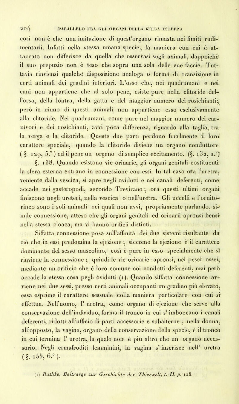 così non è che una imitazione di quest’organo rimasta nei limiti rudi-» mentarii. Infatti nella stessa umana specie, la maniera con cui è at- taccato non differisce da quella che osservasi sugli animali, dappoiché il suo prepuzio non è teso che sopra una sola delle sue faccie. Tut- tavia rinviensi qualche disposizione analoga o formet di transizione in certi animali dei gradini inferiori. L’ossò che, nei quadrumani e nei cani non appartiene che al solo pene, esiste pure nella clitoride del- l’orsa, della lontra, della gatta e del maggior numero dei rosichinoti* però in niuno di questi animali non appartiene esso esclusivamente alla clitoride. Nei quadrumani, come pure nel maggior numero dei car- nivori e dei rosichinoti, avvi poca differenza, riguardo alla taglia, tra la verga e 1 a clitoride. Queste due parti perdono finalmente il loro carattere speciale, quando la clitoride diviene un organo conduttore ( §. 129, 5.° ) ed il pene un organo di semplice eccitamento. (§. 182, i.°) §. 108. Quando esistono vie orinarie, gli organi genitali costituenti la sfera esterna entrano in connessione con essi. In tal caso ofa l’uretra, veniente dalla vescica, si apre negli ovidutti e nei canali deferenti, come accade nei gasteropodi, secondo Trevirano • ora questi ultimi organi finiscono ne^li ureteri, nella vescica o nell’ùrètra. Gli uccelli e fornito- lineo sono i soli animali nei quali non avvi, propriamente parlando, si- mile connessione, atteso che gii organi genitali ed orinarli aprousi bensì nella stessa cloaca, ma vi hanno orificii distinti. Siffatta connessione posa sull’affinità dei due sistemi risultante da ciò che in essi predomina la ejezione : siccome la ejezione è il carattere dominante del sesso mascolino, così è pure in esso specialmente che si rinviene la connessione ^ quindi le vie orinarie aprousi, nei pesci ossei, mediante un orificio che è loro comune coi condotti deferenti, mai però accade la stessa cosa pegli ovidutti (1). Quando siffatta connessione av** viene nei due sessi, presso certi animali occupanti un gradino più elevato, essa esprime il carattere sessuale colla maniera particolàre con cui si effettua. Nell’uomo, 1’ uretra, come Organo di ejezione che serve alla conservazione dell’individuo, forma il tronco in cui s’imboccano i canali deferenti, ridotti all’ufficio di parti accessorie e subalterne * nella donna, all’opposto, la vagina, organo della conservazione della specie, è il tronco in cui termina 1’ uretra, la quale non è più altro che un organo acces- sorio. Negli ermafroditi femminini, la vagina s’inserisce nell’ uretra (§. i55, 6.° ). (1) Rathke, Beitraege zur Geschichte der Thierweltt. //, p. 128.