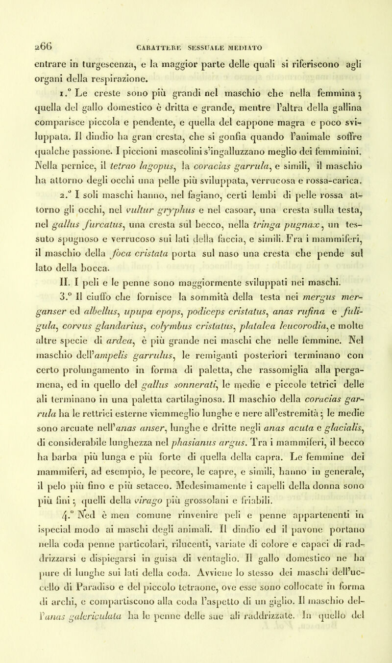 entrare in turgescenza, e la maggior parte delle quali si riferiscono agli organi della respirazione. 1. ° Le creste sono più grandi nel maschio che nella femmina} quella del gallo domestico è dritta e grande, mentre l’altra della gallina comparisce piccola e pendente, e quella del cappone magra e poco svi- luppata. Il dindio ha gran cresta, che si gonfia quando l’animale soffre qualche passione. I piccioni mascolini s’ingalluzzano meglio dei femminini. Nella pernice, il tetrao lagopus, la coracias garrula, e simili, il maschio ha attorno degli occhi una pelle più sviluppata, verrucosa e rossa-carica. 2. ° I soli maschi hanno, nel fagiano, certi lembi di pelle rossa at- torno gli occhi, nel vultur gryphus e nel casoar, una cresta sulla testa, nel gallus furcatus, una cresta sul becco, nella tringa pugnax, un tes- suto spugnoso e verrucoso sui Iati della faccia, e simili. Fra i mammiferi, il maschio della foca cristata porta sul naso una cresta che pende sul lato della bocca. IL I peli e le penne sono maggiormente sviluppati nei maschi. 3. ° Il ciuffo che fornisce la sommità della testa nei mergus mer- ganser ed albellus, upupa epops, podiceps cristatus, anas rufina e fuli- gula^ corpus glandarius, colymbus cristatus, platalea Icucorodia.Q molte altre specie di ardea, è più grande nei maschi che nelle femmine. Nel maschio dell1 ampelis garrulus, le remiganti posteriori terminano con certo prolungamento in forma di paletta, che rassomiglia alla perga- mena, ed in quello del gallus sonnerati, le medie e piccole tetrici delle ali terminano in una paletta cartilaginosa. Il maschio della coracias gar- rula ha le rettrici esterne viemmeglio lunghe e nere all’estremità} le medie sono arcuate nell^ anas anser, lunghe e dritte negli anas acuta e glacialis, di considerabile lunghezza nel phasianus argus. Tra i mammiferi, il becco ha barba più lunga e più forte di quella della capra. Le femmine dei mammiferi, ad esempio, le pecore, le capre, e simili, hanno in generale, il pelo più fino e più setaceo. Medesimamente i capelli della donna sono più fini} quelli della virago più grossolani e friabili. 4. ° Ned è men comune rinvenire peli e penne appartenenti in ispecial modo ai maschi degli animali. II dindio ed il pavone portano nella coda penne particolari, rilucenti, variate di colore e capaci di rad- drizzarsi e dispiegarsi in guisa di ventaglio. Il gallo domestico ne ha pure di lunghe sui lati della coda. Avviene lo stesso dei maschi dell’uc- cello di Paradiso e del piccolo tetraone, ove esse sono collocate in forma di archi, e compartiscono alla coda l’aspetto di un giglio. Il maschio del- Panas galericulata ha le penne delle sue ali raddrizzate. In quello del