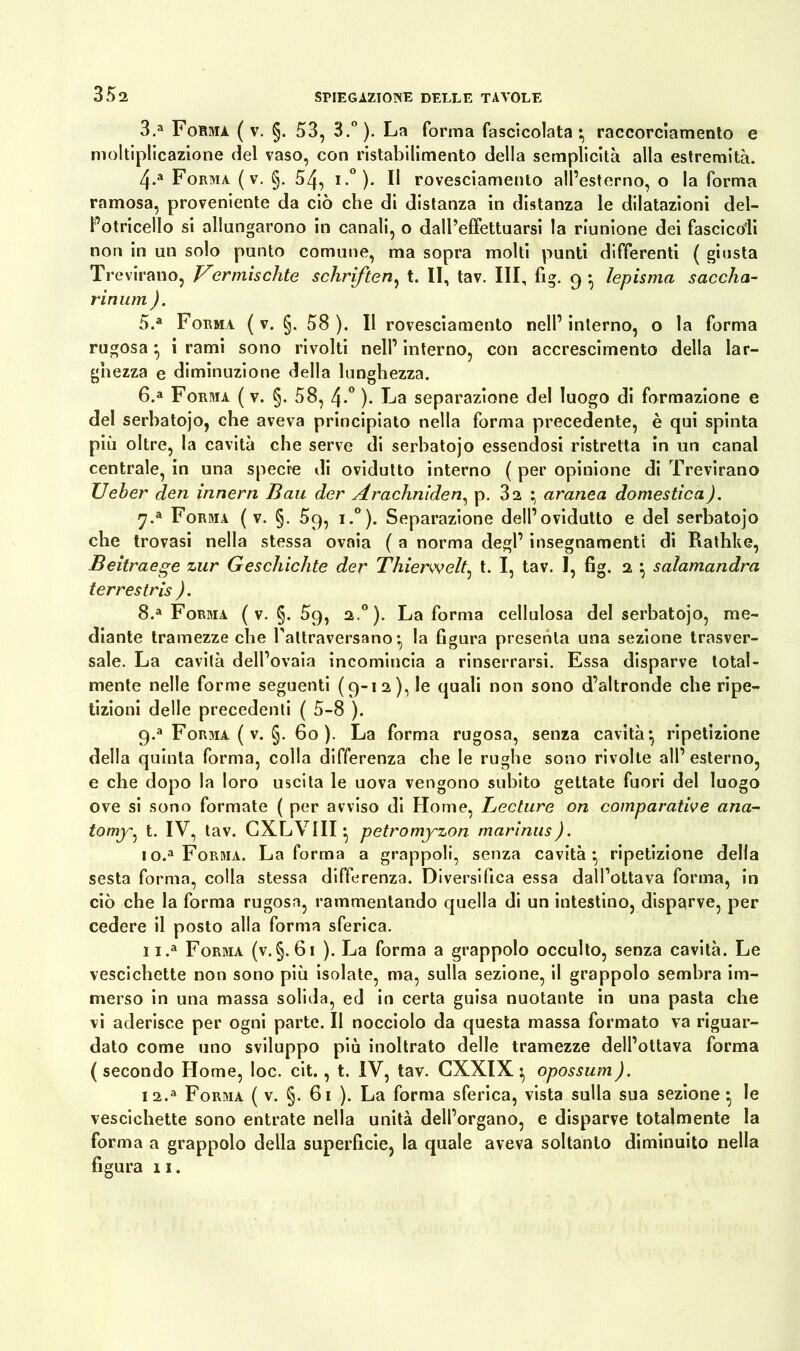 з. a Forma ( v. §. 53, 3.°). La forma fascicolata* raccorciamento e moltiplicazione del vaso, con ristabilimento della semplicità alla estremità. 4-a Forma ( v. §. 54, i.°). Il rovesciamento all’esterno, o la forma ramosa, proveniente da ciò che di distanza in distanza le dilatazioni del- l’otricello si allungarono in canali, o dall’effettuarsi la riunione dei fascicoli non in un solo punto comune, ma sopra molti punti differenti ( giusta Trevirano, ermìschte Schriften, t. II, tav. Ili, fig. 9 • lepisma Saccha- rin mn ). 5. a Forma ( v. §. 58 ). Il rovesciamento nell’ interno, o la forma rugosa • i rami sono rivolti nell’ interno, con accrescimento della lar- ghezza e diminuzione della lunghezza. 6. a Forma ( v. §. 58, 4-° ). La separazione del luogo di formazione e del serbatojo, che aveva principiato nella forma precedente, è qui spinta più oltre, la cavità che serve di serbatojo essendosi ristretta in un canal centrale, in una specie di ovidutto interno ( per opinione di Trevirano Ueber den innern Bau der Arachniden, p. 3a • aranea domestica). 7-a Forma ( v. §. 5q, i.°). Separazione dell’ovidutto e del serbatojo che trovasi nella stessa ovaia ( a norma degl’ insegnamenti di Rathke, Beitraege zur Geschichte der Thierwelt, t. I, tav. I, fig. 2 \ salamandra terrestris ). 8.a Forma ( v. §. 5q, 2.0). La forma cellulosa del serbatojo, me- diante tramezze che l’attraversano;, la figura presenta una sezione trasver- sale. La cavità dell’ovaia incomincia a rinserrarsi. Essa disparve total- mente nelle forme seguenti (9-12), le quali non sono d’altronde che ripe- tizioni delle precedenti ( 5-8 ). 9-a Forma ( v. §. 60). La forma rugosa, senza cavità*, ripetizione della quinta forma, colla differenza che le rughe sono rivolte all’esterno, e che dopo la loro uscita le uova vengono subito gettate fuori del luogo ove si sono formate ( per avviso di Home, Lecture on comparative ana- tomyt. IV, tav. CXLVIII • petromyzon marinus). io.a Forma. La forma a grappoli, senza cavità:, ripetizione della sesta forma, colla stessa differenza. Diversifica essa dall’ottava forma, in ciò che la forma rugosa, rammentando quella di un intestino, disparve, per cedere il posto alla forma sferica. и. a Forma (v.§. 61 ). La forma a grappolo occulto, senza cavità. Le vescichette non sono più isolate, ma, sulla sezione, il grappolo sembra im- merso in una massa solida, ed in certa guisa nuotante in una pasta che vi aderisce per ogni parte. Il nocciolo da questa massa formato va riguar- dato come uno sviluppo più inoltrato delle tramezze dell’ottava forma ( secondo Home, loc. cit. , t. IV, tav. CXXIX ^ opossum). I2.a Forma ( v. §. 61 ). La forma sferica, vista sulla sua sezione ^ le vescichette sono entrate nella unità dell’organo, e disparve totalmente la forma a grappolo della superficie, la quale aveva soltanto diminuito nella figura 11.