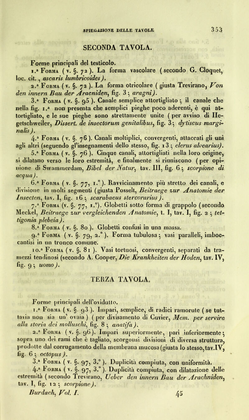 SECONDA TAVOLA. Forme principali del testicolo. 1. a Forma ( v. §. 72 ). La forma vascolare (secondo G. Cloquet, loc. cit. , ascaris lumbricoides), 2. a Forma ( v. §. 72 ). La forma otricolare ( giusta Trevirano, Von den Innern Bau der Aracniden, fig. 3 • aragni). 3. a Forma ( v. §. 95 ). Canale semplice attortigliato ^ il canale che nella fig. i.a non presenta che semplici pieghe poco aderenti, è qui at- tortigliato, e le sue pieghe sono strettamente unite ( per avviso di Ile- getschweiler, Dissert. de insectorum genitalibus, fig. 3} dytiscus margU nalis ). 4. a Forma (v. §. 76 ). Canali moltiplici, convergenti, attaccati gli uni agli altri (seguendo gl’insegnamenti dello stesso, fig. i3 ^ elerus alvearius). 5. a Forma ( v. §. 76 ). Cinque canali, attortigliati nella loro origine, si dilatano verso le loro estremità, e finalmente si riuniscono ( per opi- nione di Swammerdam, Bibel der Natur, tav. Ili, fig. 6 ^ scorpione di acqua). 6. a Forma ( v. §. 77, i.°). Ravvicinamento più stretto dei canali, e divisione in molti segmenti (giusta Posselt, Beitraege zur Anatomie der Insecten, tav. I, fig. 16^ scarabaeus stercoraria). 7»a Forma (v. §. 77, i.°). Globetti sotto forma di grappolo (secondo Meckel, Beitraege zur vergleichenden Anatomìe, t. I, tav. I, fig. 2 *, tet- tigonia plebeia ). 8. a Forma ( v. §. 80 ). Globetti confusi in una massa. 9. a Forma ( v. §. 79, 2.0 ). Forma tubulosa ^ vasi paralleli, imboc« cantisi in un tronco comune. 10. a Forma ( v. §. 81 ). Vasi tortuosi, convergenti, separati da tra- mezzi tendinosi (secondo A. Cooper, Die Krankheiten der Hoden} tav. IV, fig. 9 ^ uomo). TERZA TAVOLA, Forme principali dell’ovidutto. 1. a Forma ( v. §. 93 ). Impari, semplice, di radici ramorute ( se tut- tavia non sia un’ ovaia ) ( per divisamento di Cuvier, Mem. per servire alla storia dei molluschi, fig. 8 •, anatifa). 2. a Forma (v, §. 96). Impari superiormente, pari inferiormente $ sopra uno dei rami che è taglialo, scorgonsi divisioni di diversa struttura, prodotte dal corrugamento della membrana mucosa (giusta lo stesso, tav.IV, fig. 6 \ octopus). 3. a Forma ( v. §. 97, 3.° ). Duplicità compiuta, con uniformità. 4-a Forma ( v. §. 97, 3.° ). Duplicità compiuta, con dilatazione delle estremità (secondo Trevirano, Ueber den innern Bau der Arachniden^ tav. I, fig. 12-, scorpione). Burda eh, Voi. I. 45