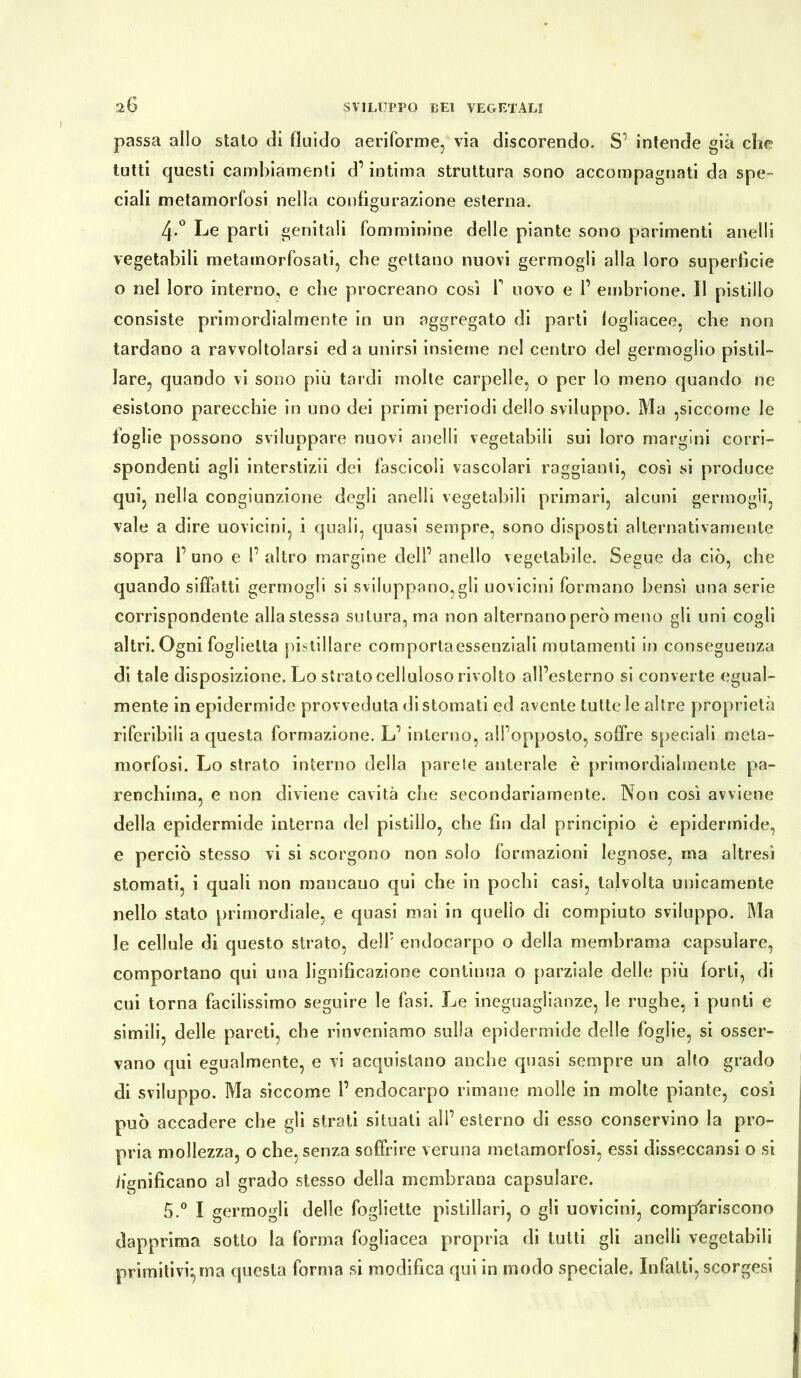 passa allo stato di fluido aeriforme, via discorendo. S’ intende già che tutti questi cambiamenti d’intima struttura sono accompagnati da spe- ciali metamorfosi nella configurazione esterna. 4-° Le parti genitali fomminine delle piante sono parimenti anelli vegetabili metamorfosati, cbe gettano nuovi germogli alla loro superficie o nel loro interno, e cbe procreano cosi F uovo e F embrione. Il pistillo consiste primordialmente in un aggregato di parti fogliacee, che non tardano a ravvoltolarsi ed a unirsi insieme nel centro del germoglio pistil- lare, quando vi sono più tardi molte carpelle, o per lo meno quando ne esistono parecchie in uno dei primi periodi dello sviluppo. Ma ,siccome le foglie possono sviluppare nuovi anelli vegetabili sui loro margini corri- spondenti agli interstizii dei fascicoli vascolari raggianti, cosi si produce qui, nella congiunzione degli anelli vegetabili primari, alcuni germogli, vale a dire uovicini, i quali, quasi sempre, sono disposti alternativamente sopra F uno e F altro margine dell’ anello vegetabile. Segue da ciò, che quando siffatti germogli si sviluppano,gli uovicini formano bensì una serie corrispondente alla stessa sutura, ma non alternano però meno gli uni cogli altri. Ogni foglietta pbtillare comportaessenziali mutamenti in conseguenza di tale disposizione. Lo strato celluloso rivolto all’esterno si converte egual- mente in epidermide provveduta distornati ed avente tutte le altre proprietà riferibili a questa formazione. L’interno, all’opposto, soffre speciali meta- morfosi. Lo strato interno della parete anterale è primordialmente pa- renchima, e non diviene cavità cbe secondariamente. Non così avviene della epidermide interna del pistillo, che fin dal principio è epidermide, e perciò stesso vi si scorgono non solo formazioni legnose, ma altresì stornati, i quali non mancauo qui che in pochi casi, talvolta unicamente nello stato primordiale, e quasi mai in quello di compiuto sviluppo. Ma le cellule di questo strato, dell’ endocarpo o della membra tua capsulare, comportano qui una lignificazione continua o parziale delle più forti, di cui torna facilissimo seguire le fasi. Le ineguaglianze, le rughe, i punti e simili, delle pareti, cbe rinveniamo sulla epidermide delle foglie, si osser- vano qui egualmente, e vi acquistano anche quasi sempre un alto grado di sviluppo. Ma siccome F endocarpo rimane molle in molte piante, così può accadere che gli strati situati all’esterno di esso conservino la pro- pria mollezza, o che, senza soffrire veruna metamorfosi, essi disseccami o si lignificano al grado stesso della membrana capsulare. 5.° I germogli delle fogliette pistillari, o gli uovicini, compariscono dapprima sotto la forma fogliacea propria di tutti gli anelli vegetabili primitivi^ ma questa forma si modifica qui in modo speciale. Infatti, scorgesi