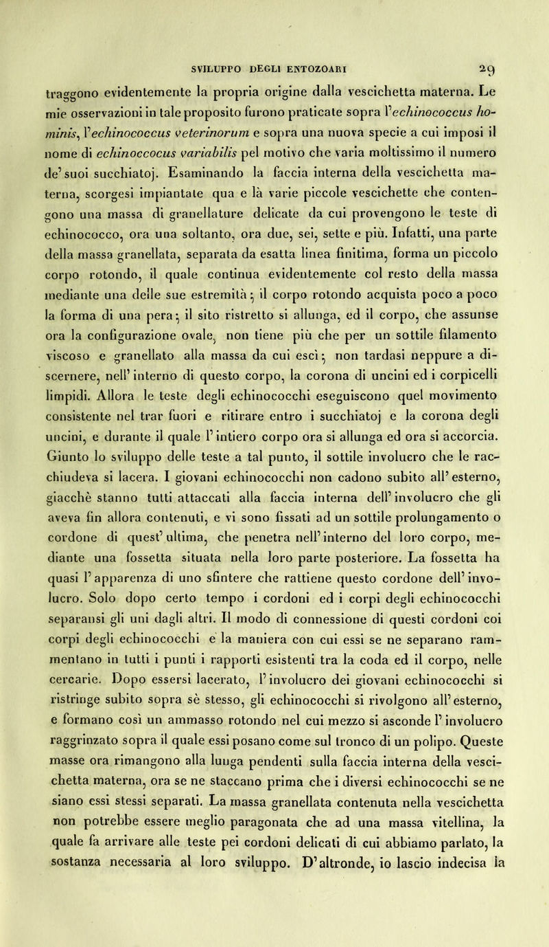traggono evidentemente la propria origine dalla vescichetta materna. Le mie osservazioni in tale proposito furono praticate sopra Vechinococcus ho- minis,, Vechinococcus veterinorum e sopra una nuova specie a cui imposi il nome di echinoccocus variabilis pel motivo che varia moltissimo il numero de’suoi succhiato]'. Esaminando la faccia interna della vescichetta ma- terna, scorgesi impiantate qua e là varie piccole vescichette che conten- gono una massa di granellature delicate da cui provengono le teste di echinococco, ora una soltanto, ora due, sei, sette e più. Infatti, una parte della massa granellata, separata da esatta linea finitima, forma un piccolo corpo rotondo, il quale continua evidentemente col resto della massa mediante una delle sue estremità} il corpo rotondo acquista poco a poco la forma di una pera-, il sito ristretto si allunga, ed il corpo, che assunse ora la configurazione ovale, non tiene più che per un sottile filamento viscoso e granellato alla massa da cui esci} non tardasi neppure a di- scernere, nell’ interno di questo corpo, la corona di uncini ed i corpicelli limpidi. Allora le teste degli echinococchi eseguiscono quel movimento consistente nel trar fuori e ritirare entro i succhiatoi e la corona degli uncini, e durante il quale l’intiero corpo ora si allunga ed ora si accorcia. Giunto lo sviluppo delle teste a tal punto, il sottile involucro che le rac- chiudeva si lacera. I giovani echinococchi non cadono subito all’esterno, giacché stanno tutti attaccati alla faccia interna dell’involucro che gli aveva fin allora contenuti, e vi sono fissati ad un sottile prolungamento o cordone di quest’ultima, che penetra nell’interno del loro corpo, me- diante una fossetta situata nella loro parte posteriore. La fossetta ha quasi l’apparenza di uno sfintere che rattiene questo cordone dell’invo- lucro. Solo dopo certo tempo i cordoni ed i corpi degli echinococchi separansi gli uni dagli altri. Il modo di connessione di questi cordoni coi corpi degli echinococchi e la maniera con cui essi se ne separano ram- mentano in tutti i punti i rapporti esistenti tra la coda ed il corpo, nelle cercarie. Dopo essersi lacerato, l’involucro dei giovani echinococchi si ristringe subito sopra sé stesso, gli echinococchi si rivolgono all’esterno, e formano così un ammasso rotondo nel cui mezzo si asconde l’involucro raggrinzato sopra il quale essi posano come sul tronco di un polipo. Queste masse ora rimangono alla lunga pendenti sulla faccia interna della vesci- chetta materna, ora se ne staccano prima che i diversi echinococchi se ne siano essi stessi separati. La massa granellata contenuta nella vescichetta non potrebbe essere meglio paragonata che ad una massa vitellina, la quale fa arrivare alle teste pei cordoni delicati di cui abbiamo parlato, la sostanza necessaria al loro sviluppo. D’altronde, io lascio indecisa la