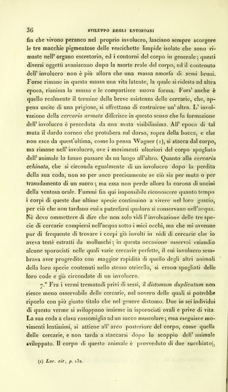 fin che vivono peranco nel proprio involucro, lasciano sempre scorgere le tre macchie pigmentose delle vescichette limpide isolate che sono ri- maste nell5 organo escretorio, ed i contorni del corpo in generale*, questi diversi oggetti svaniscono dopo la morte reale del corpo, ed il contenuto dell’ involucro non è più allora che una massa amorfa di semi bruni. Forse rimane in questa massa una vita latente, la quale si ridesta ad altra epoca, rianima la massa e le compartisce nuova forma. Fors’ anche è quello realmente il termine della breve esistenza delle cercarie, che, ap- pena uscite di una prigione, si affrettano di costruirne un’ altra. L’ invol- vazione della cercaria armata differisce in questo senso che la formazione dell’ involucro è preceduta da una muta visibilissima. All’ epoca di tal muta il dardo corneo che protubera sul dorso, sopra della bocca, e che non esce da questultima, come lo pensa Wagner (i), si stacca dai corpo, ma rimane nell’ involucro, ove i movimenti ulteriori del corpo spogliato dell’ animale lo fanno passare da un luogo all’altro. Quanto alla cercaria echinata, che si circonda egualmente di un involucro dopo la perdita della sua coda, non so per anco precisamente se ciò sia per muta o per trasudamento di un succo \ ma essa non perde allora la corona di uncini della ventosa orale. Fummi fin qui impossibile riconoscere quanto tempo i corpi di queste due ultime specie continuino a vivere nel loro guscio, per ciò che non tardano essi a putrefarsi qualora si conservano nell’acqua. Nè devo ommettere di dire che non solo vidi l’involvazione delle tre spe- cie di cercarie compiersi nell’acqua sotto i miei occhi, ma che mi avvenne pur di frequente di trovare i corpi già involti in nidi di cercarie che io aveva testé estratti da molluschi • in questa occasione osservai eziandio alcune sporocisti nelle quali varie cercarie perfette, il cui involucro sem- brava aver progredito con maggior rapidità di quello degli altri animali della loro specie contenuti nello stesso otricello, si erano spogliati delle loro code e già circondate di un involucro. Fra i vermi trematodi privi di sessi, il distomum duplicatum non riesce meno osservabile delle cercarie, nel novero delle quali si potrebbe riporlo con più giusto titolo che nel genere distorno. Due in sei individui di questo verme si sviluppano insieme in isporocisti ovali e prive di vita. La sua coda a clava rassomiglia ad un sacco muscolare} essa eseguisce mo- vimenti lentissimi, si attiene all’ arco posteriore del corpo, come quella delle cercarie, e non tarda a staccarsi dopo lo scoppio dell’ animale sviluppato. Il corpo di questo animale è provveduto di due succhiato]’,